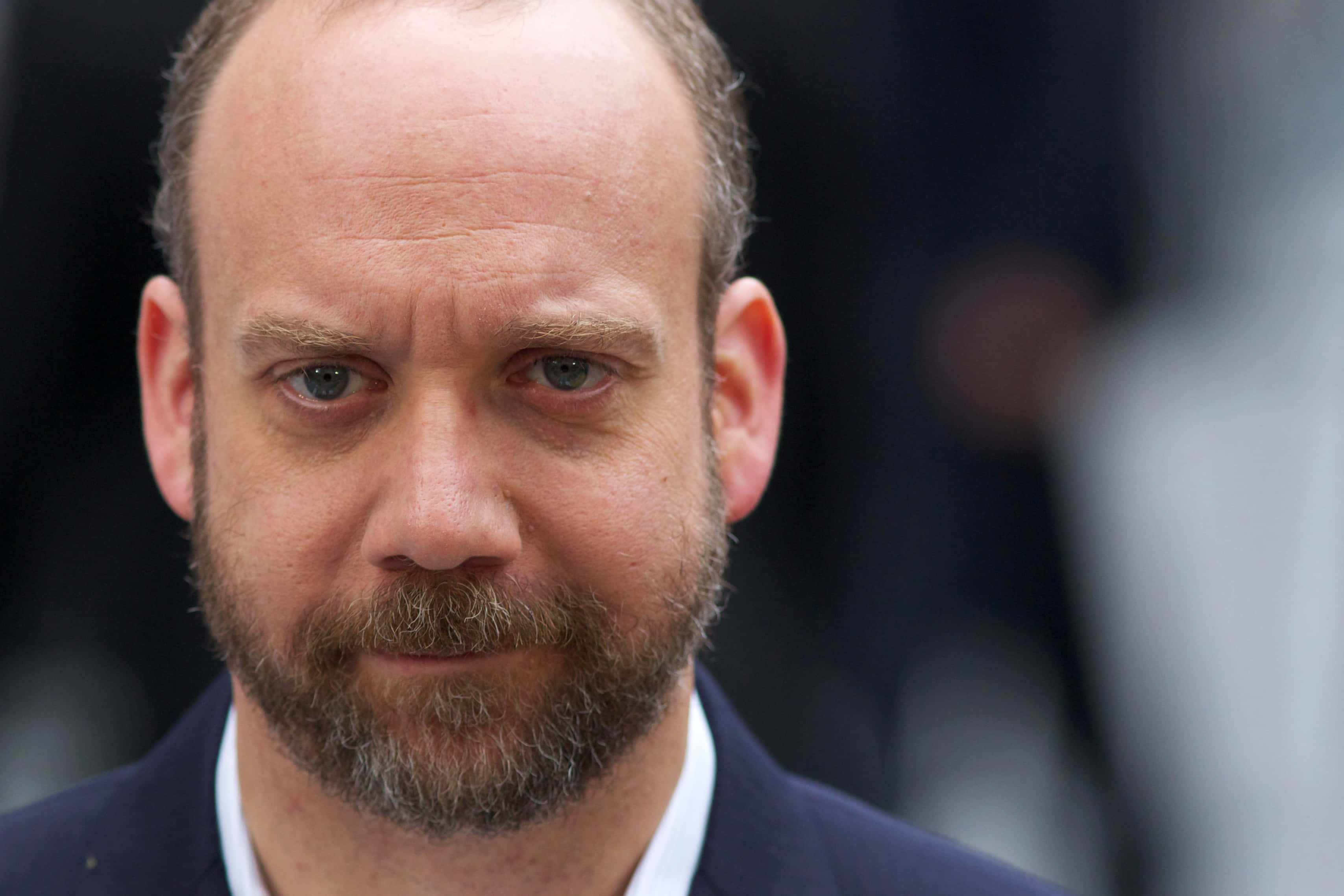 Paul Giamatti 桌布 壁紙 — 一位表情嚴肅、鬍鬚花白的男士穿著深色西裝的特寫肖像。