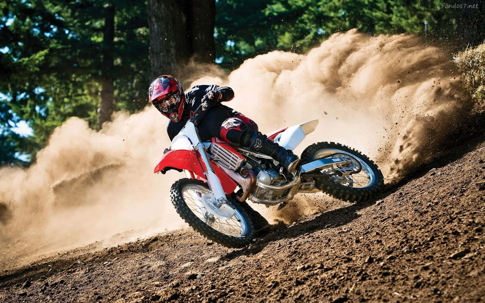 Honda Dirt Bike 桌布 壁紙 — 一位越野摩托車手在陽光普照的森林小徑上，騎著紅色越野摩托車傾斜入急彎，揚起大片棕色塵土。