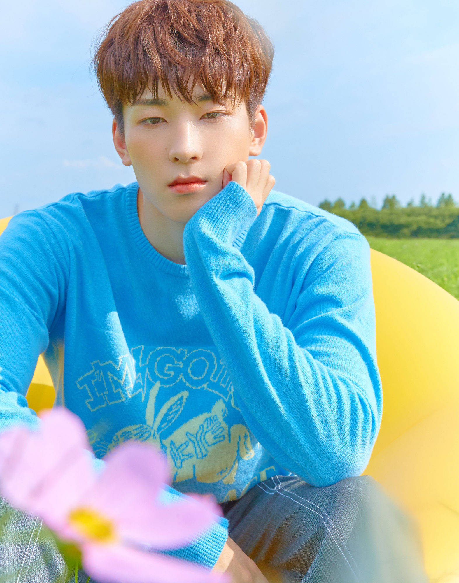 Wonwoo 桌布 壁紙 — 一位身穿亮藍色毛衣的年輕男子，若有所思地坐在戶外的黃色椅子上，前景有一朵粉紅色的花。