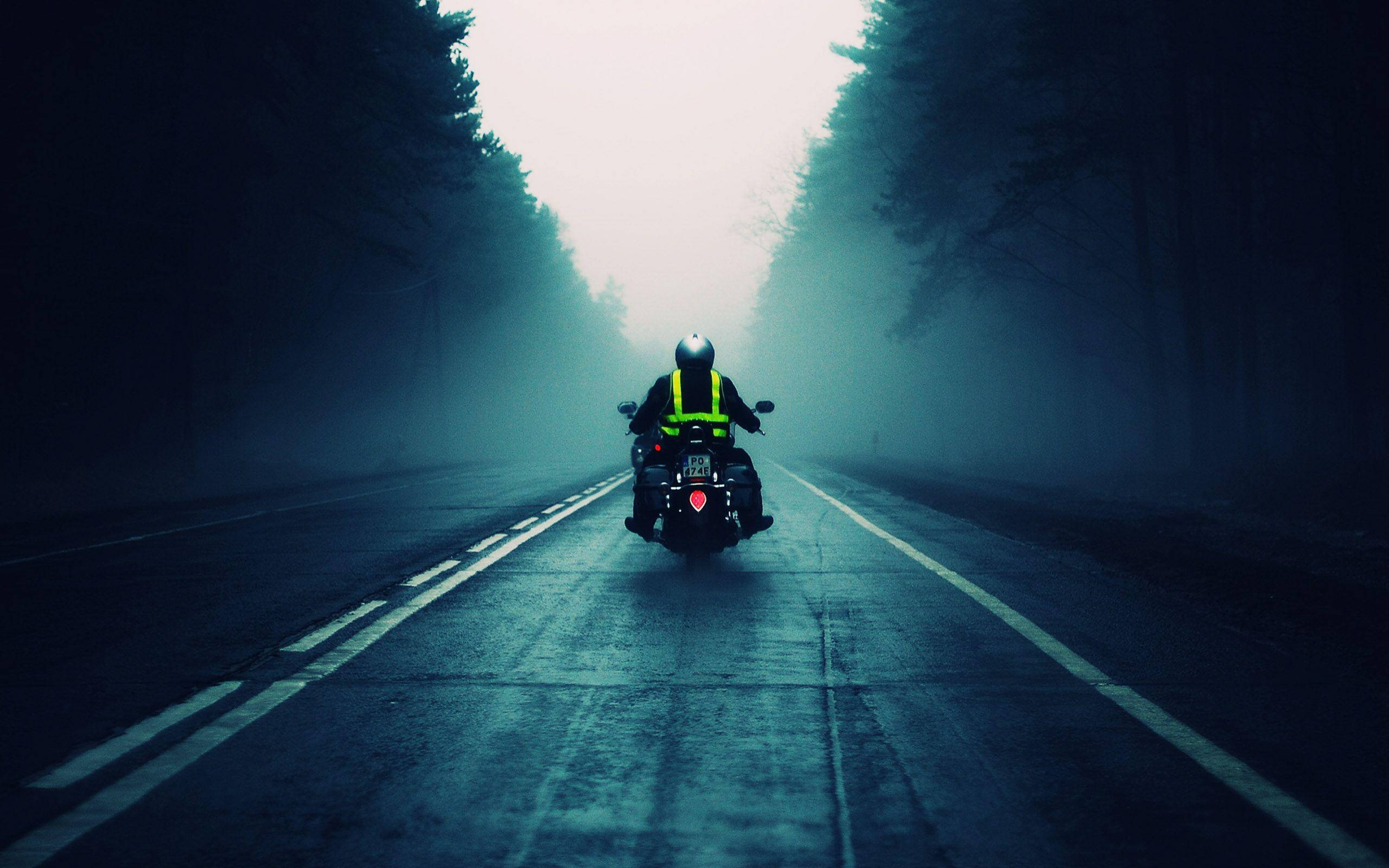 bike riding 桌布 壁紙 — 一位身穿亮黃色背心的孤獨機車騎士，沿著霧氣瀰漫的林間道路駛向發光的地平線。