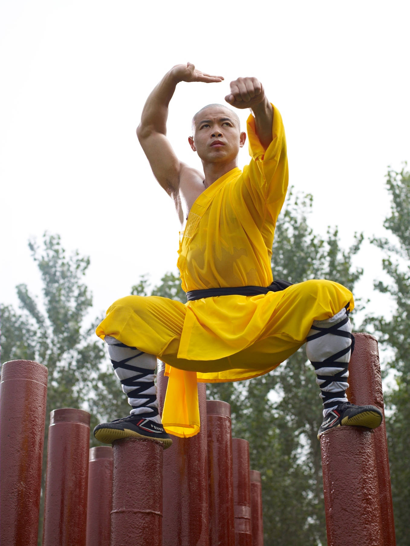 Exercise 桌布 壁紙 — 一位身穿亮黃色長袍的僧侶，在綠色樹木的背景下，以專注的武術姿勢優雅地平衡在紅色柱子上。