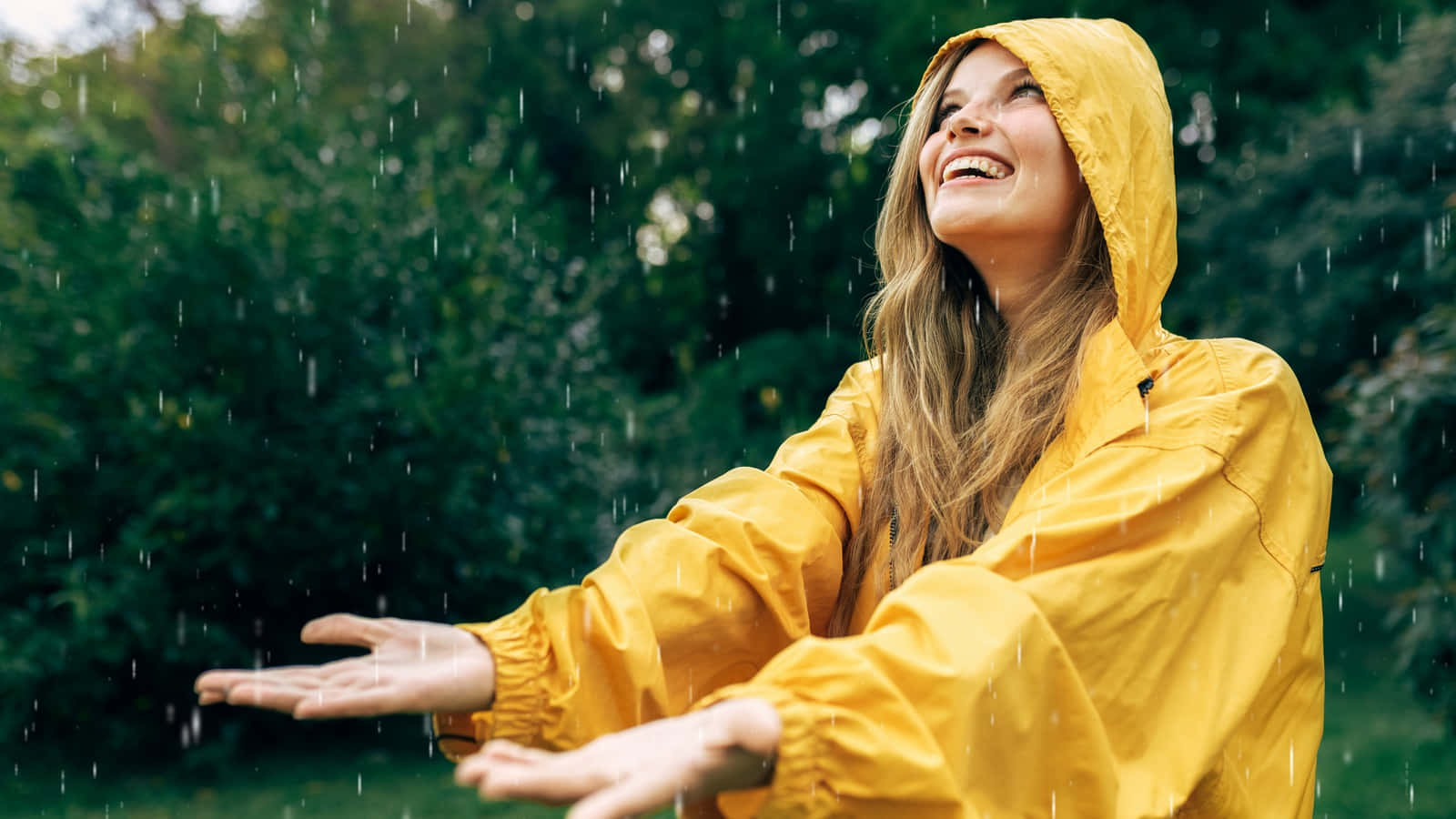 下雨 桌布 壁紙 — 一位身穿亮黃色雨衣的快樂女性在茂密的綠色森林中，在落雨下張開雙臂微笑。