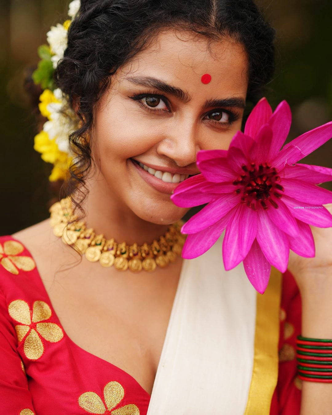 anupama parameswaran 桌布 壁紙 — 一位身穿傳統紅色和金色服飾的容光煥發女性，手持一朵鮮豔的粉紅色花朵靠近臉龐微笑。