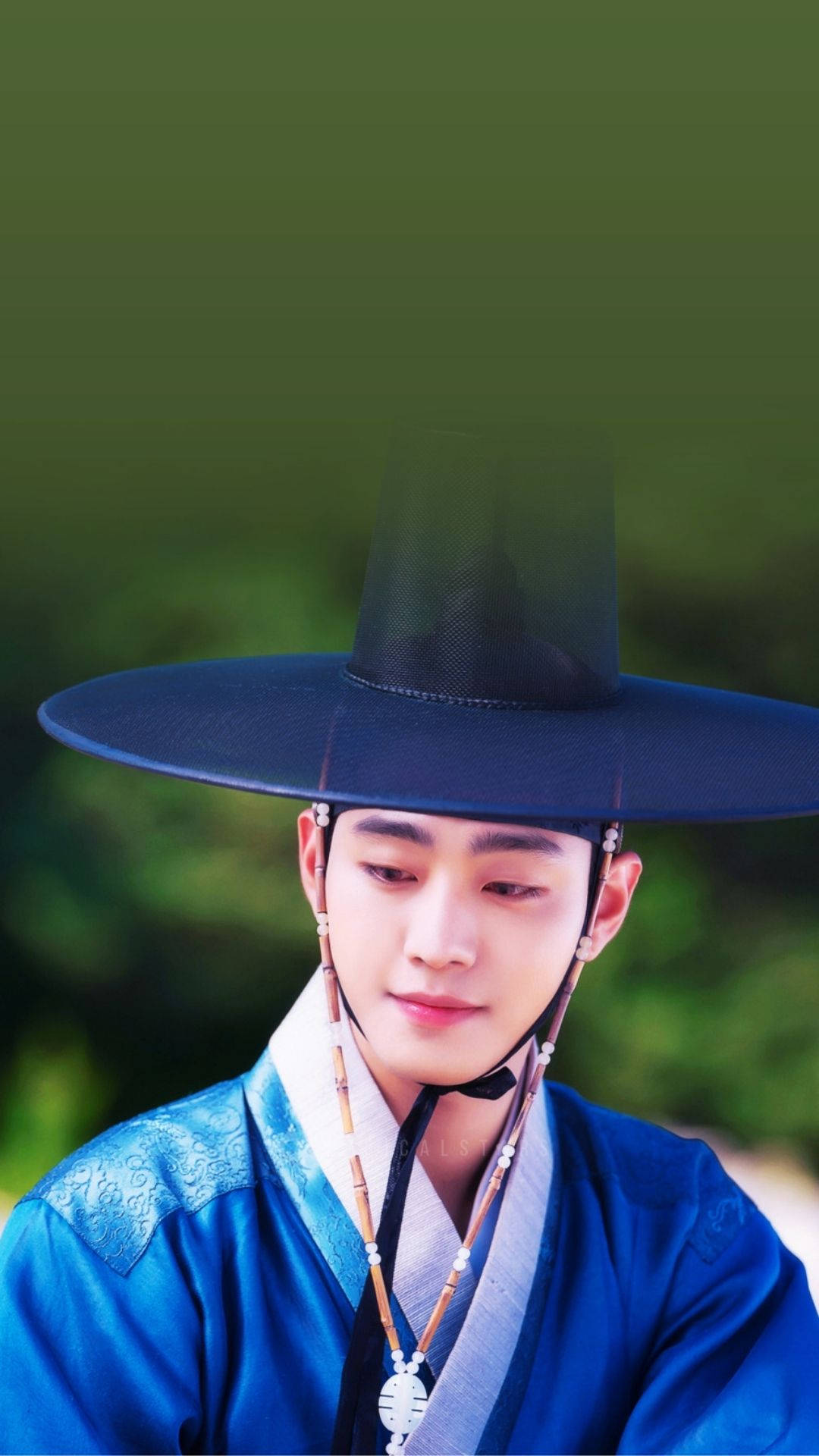 Ahn Hyo Seop 桌布 壁紙 — 一位身穿傳統藍色韓服、戴黑色寬邊帽的年輕男子，在模糊的綠色背景下溫柔地凝視。