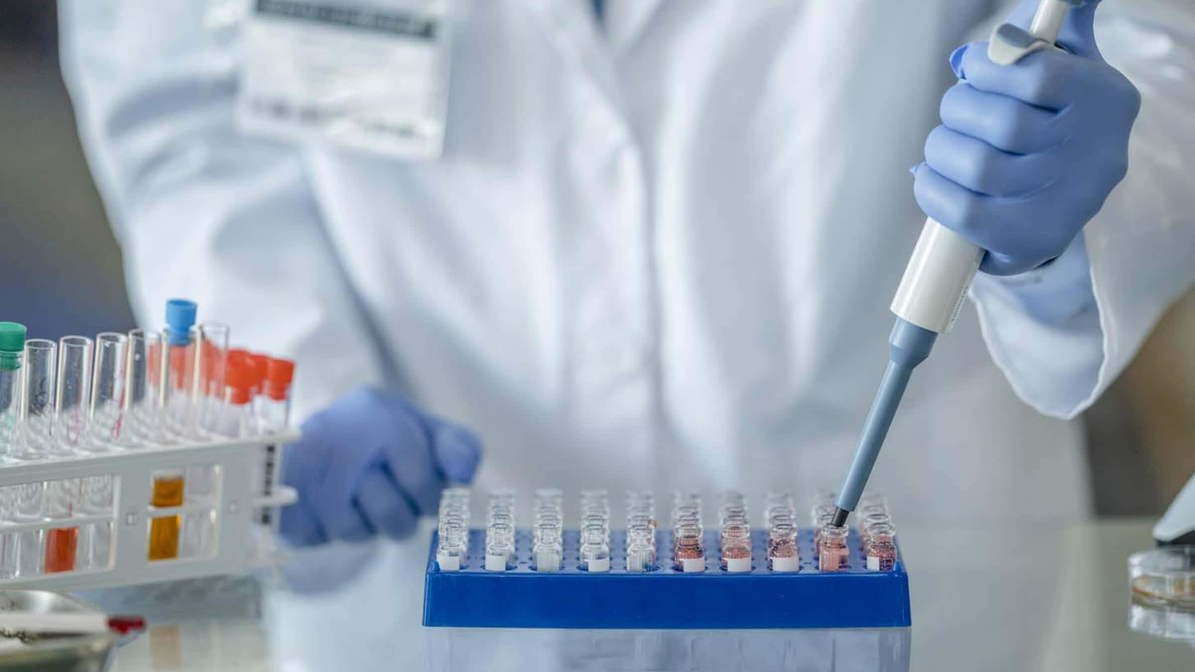 科學 桌布 壁紙 — 一位身穿實驗室外套和藍色手套的科學家，小心地使用移液器將液體轉移到排列在藍色試管架上的試管中。