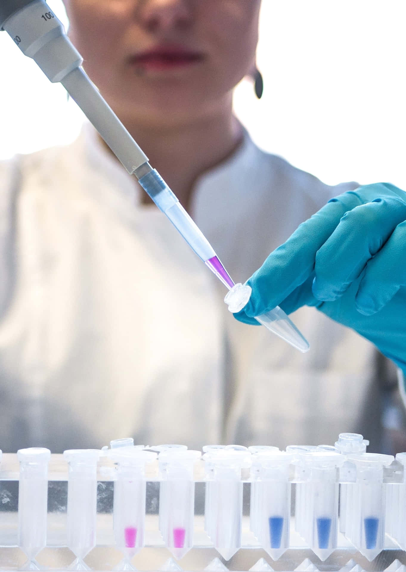 科學 桌布 壁紙 — 一位身穿實驗室外套和藍色手套的科學家，正使用移液管小心地將紫色液體轉移到試管中。
