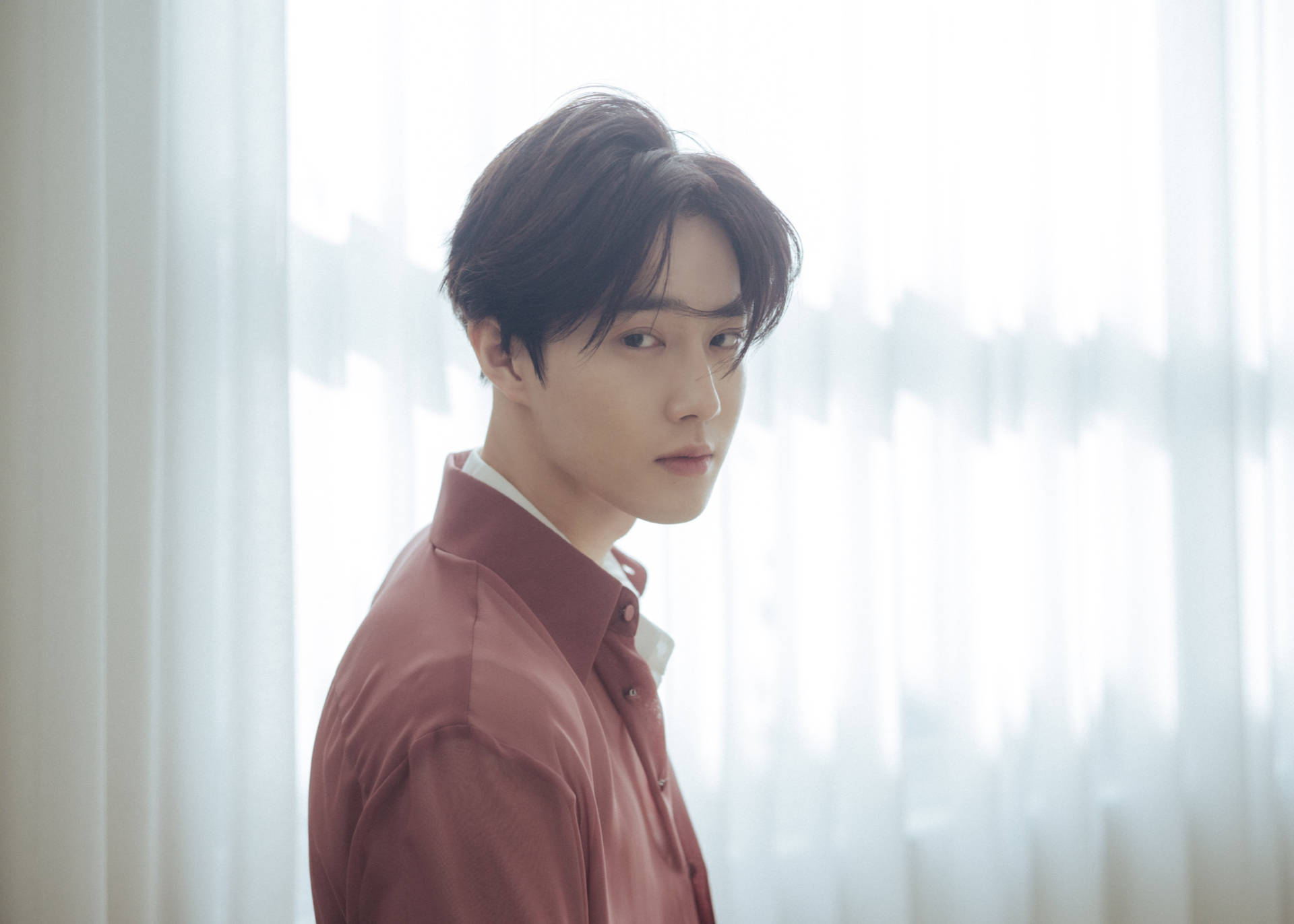 EXO 桌布 壁紙 — 一位身穿栗色襯衫的年輕男子站在薄紗窗簾旁，背後柔和的光線，若有所思地回頭看。