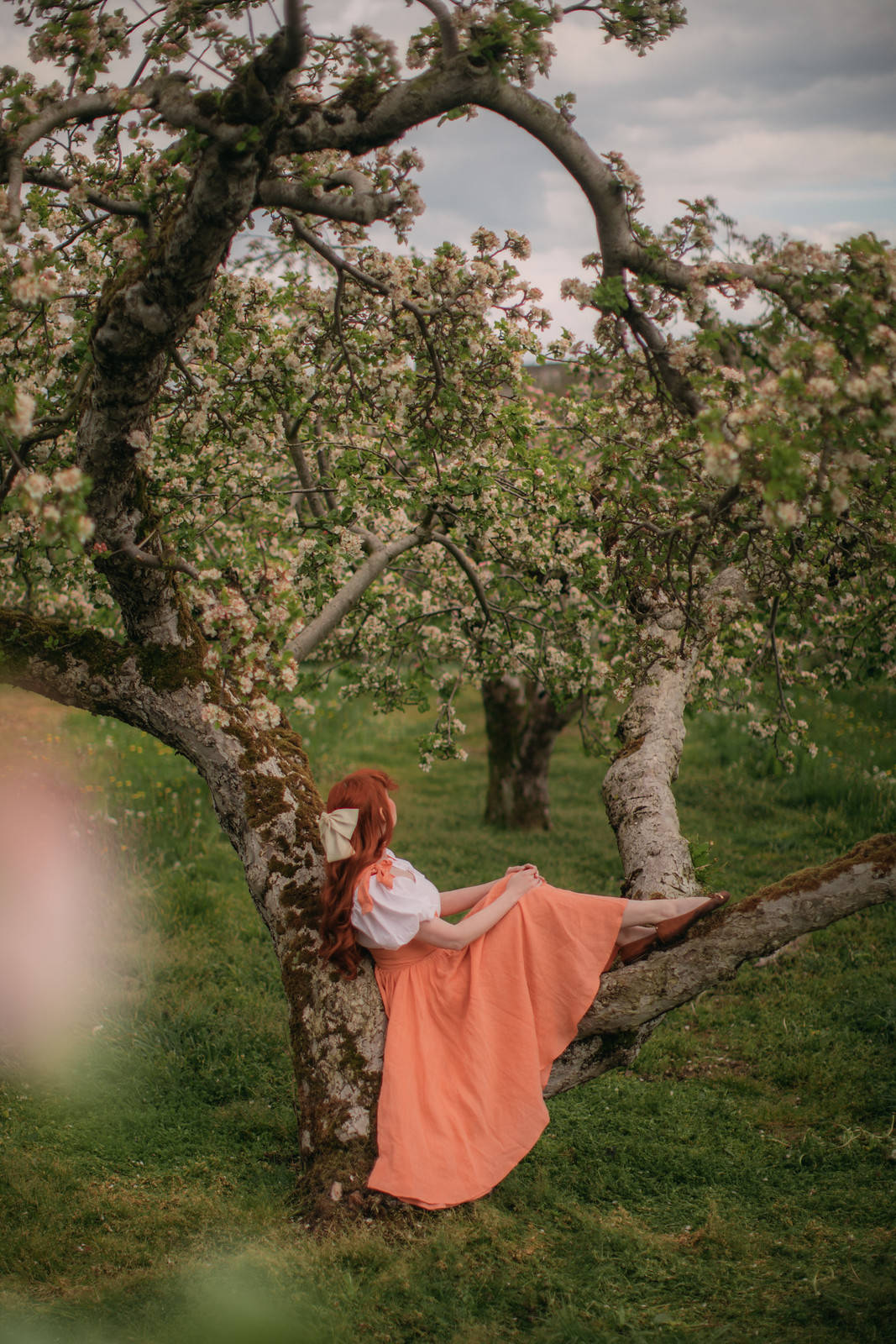 Spring iPhone 桌布 壁紙 — 一位身穿桃色連衣裙的女性優雅地坐在寧靜春日果園中盛開的樹枝上。