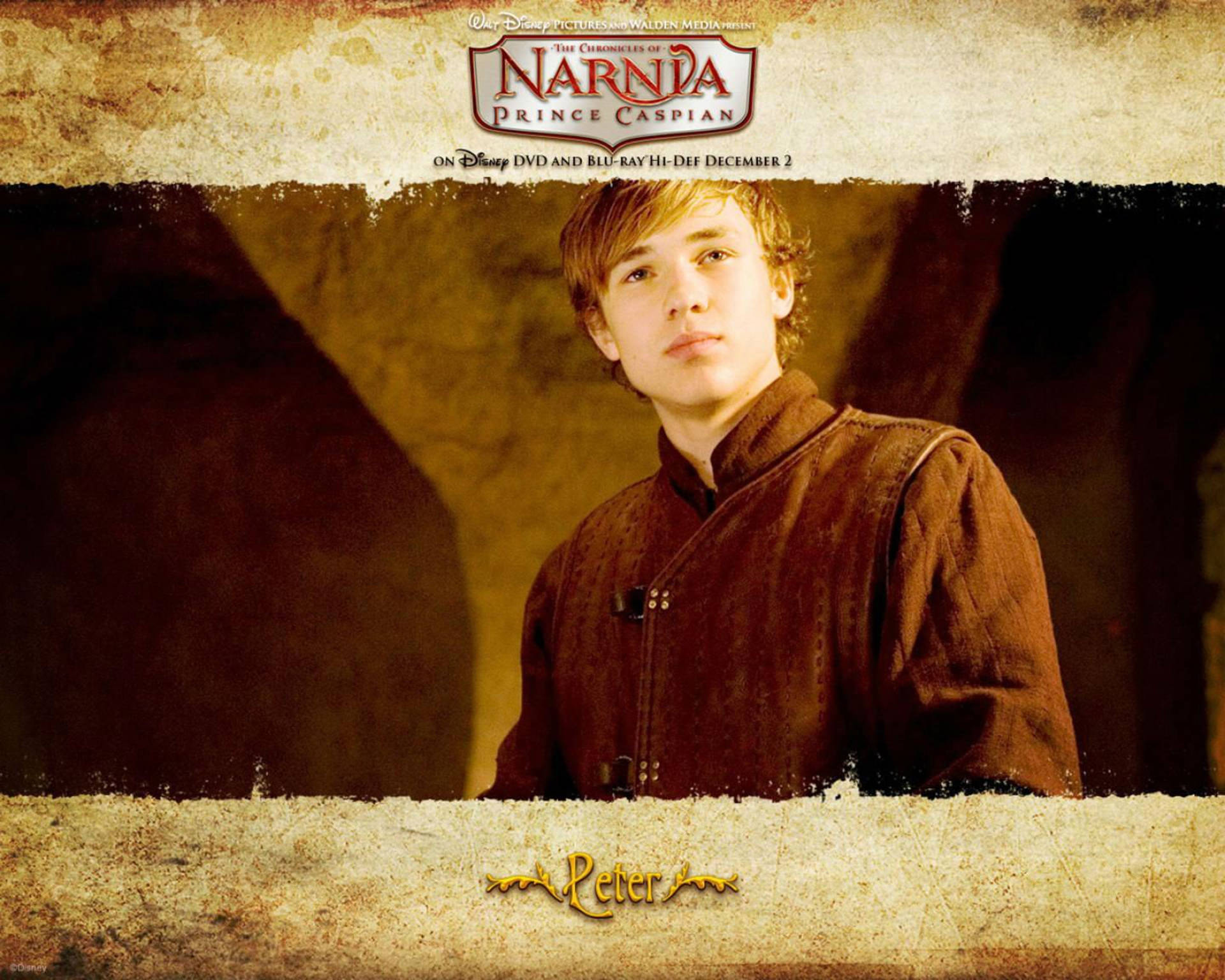 Narnia 桌布 壁紙 — 一位身穿棕色束腰外衣的年輕王子，在溫暖的金色燈光下，對著有紋理的石拱門向前凝視。