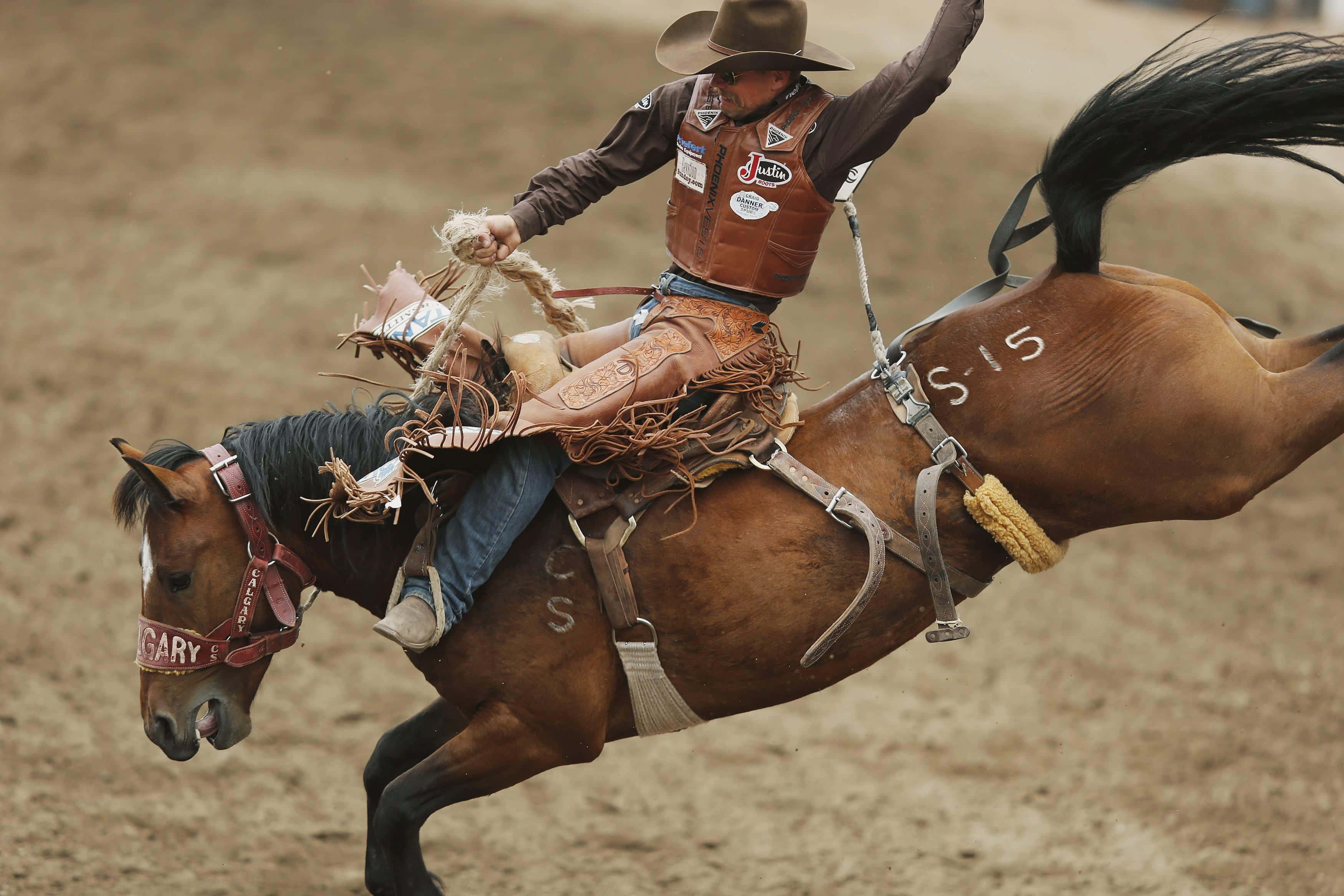 Rodeo 桌布 壁紙 — 一位身穿棕色背心和帽子的牛仔，在塵土飛揚的牛仔競技場上騎著一匹標有S15的栗色烈馬。