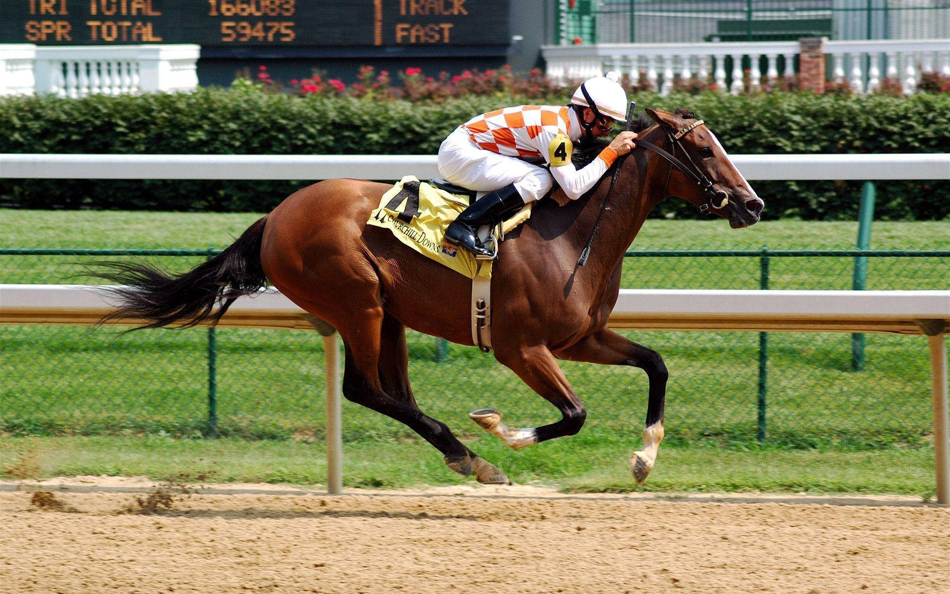 Horse Racing 桌布 壁紙 — 一位身穿橙白格紋絲綢的騎師，騎著一匹栗色賽馬在陽光普照的泥地賽道上奔馳，背景有綠色欄杆和記分板。