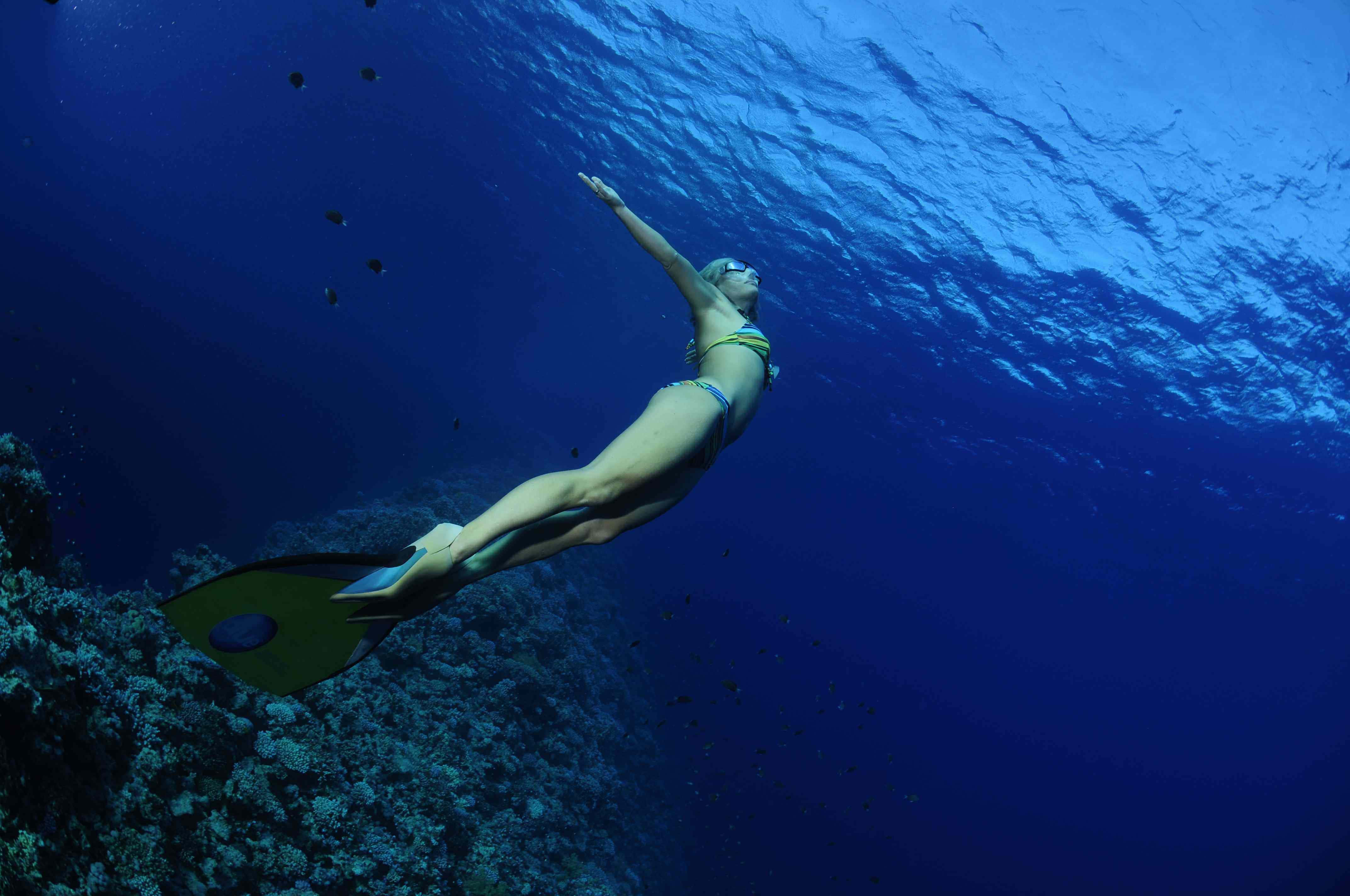diving 桌布 壁紙 — 一位身穿比基尼和腳蹼的女性在珊瑚礁上方優雅地滑行，陽光穿過深藍色的海洋。