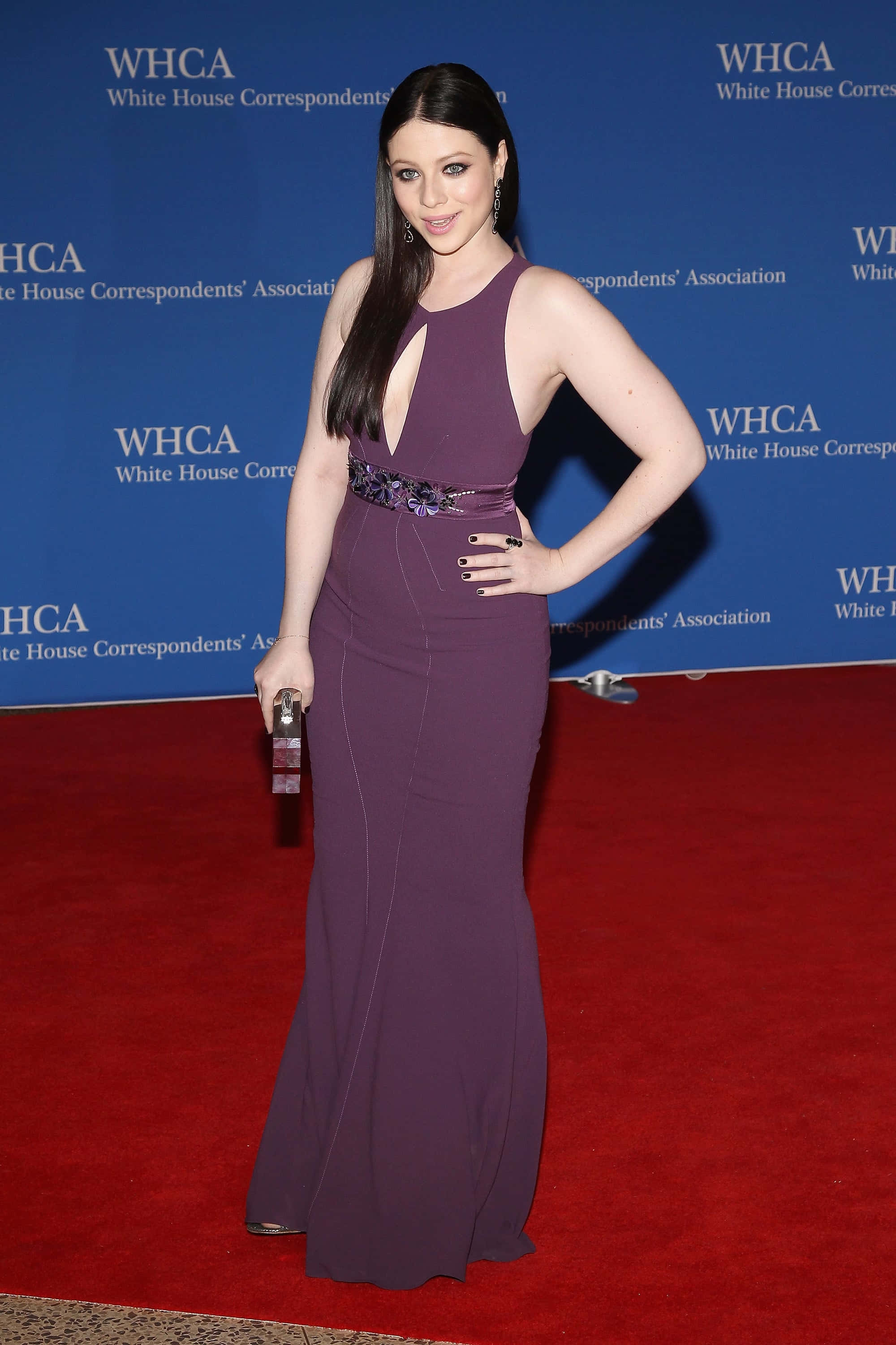 michelle trachtenberg 桌布 壁紙 — 一位身穿深紫色長裙的女性在藍色WHCA背景下自信地在紅地毯上擺姿勢。
