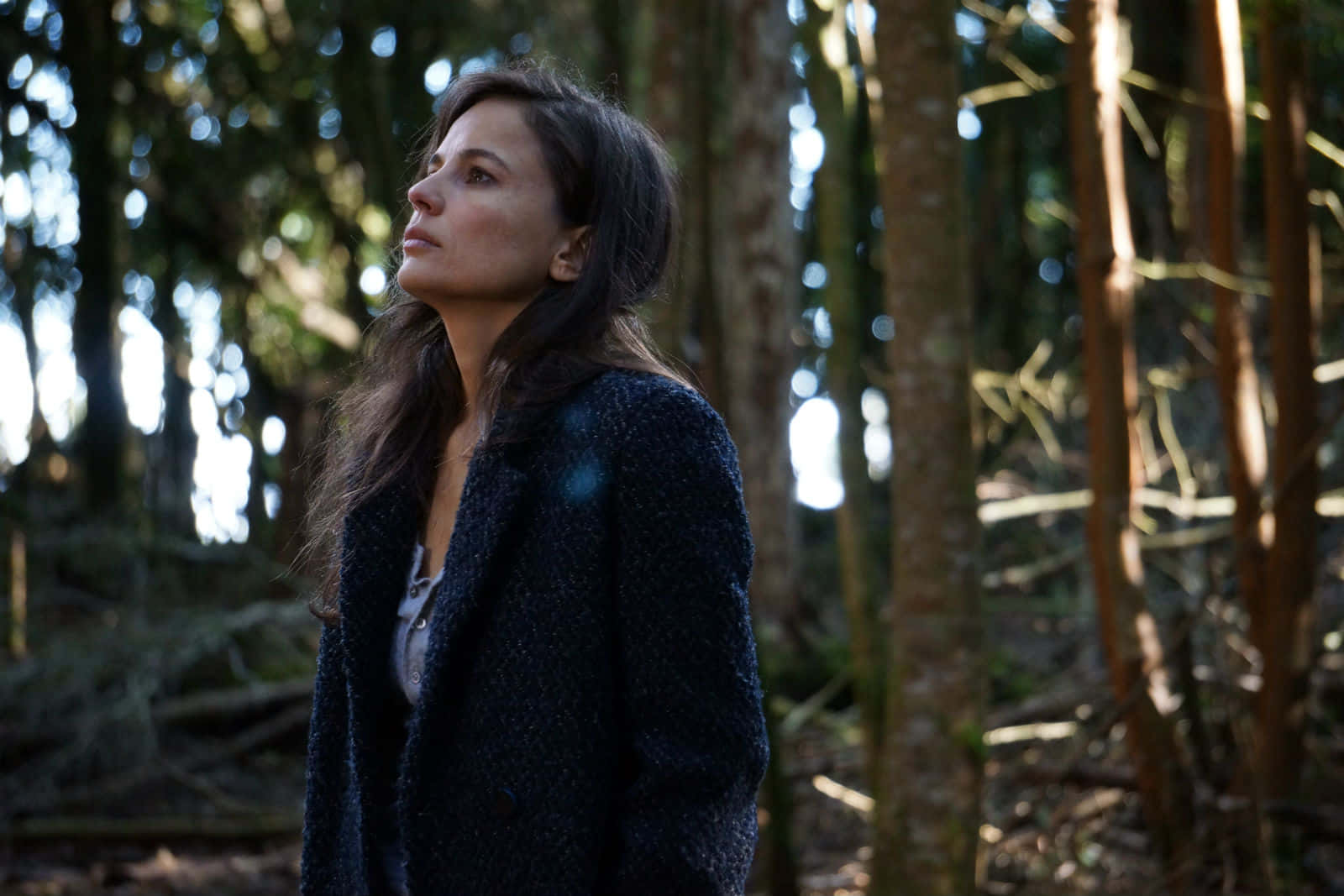 Elena Anaya 桌布 壁紙 — 一位身穿深色外套的女性站在陽光普照的森林中，透過高大的樹木仰望，斑駁的光線穿過樹冠灑落。