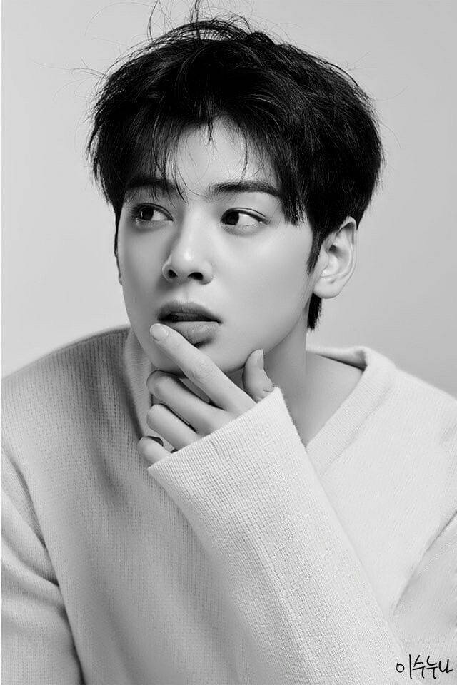 Eunwoo 桌布 壁紙 — 一位身穿淺色毛衣的年輕男子，手靠近下巴，若有所思地凝視的黑白肖像。
