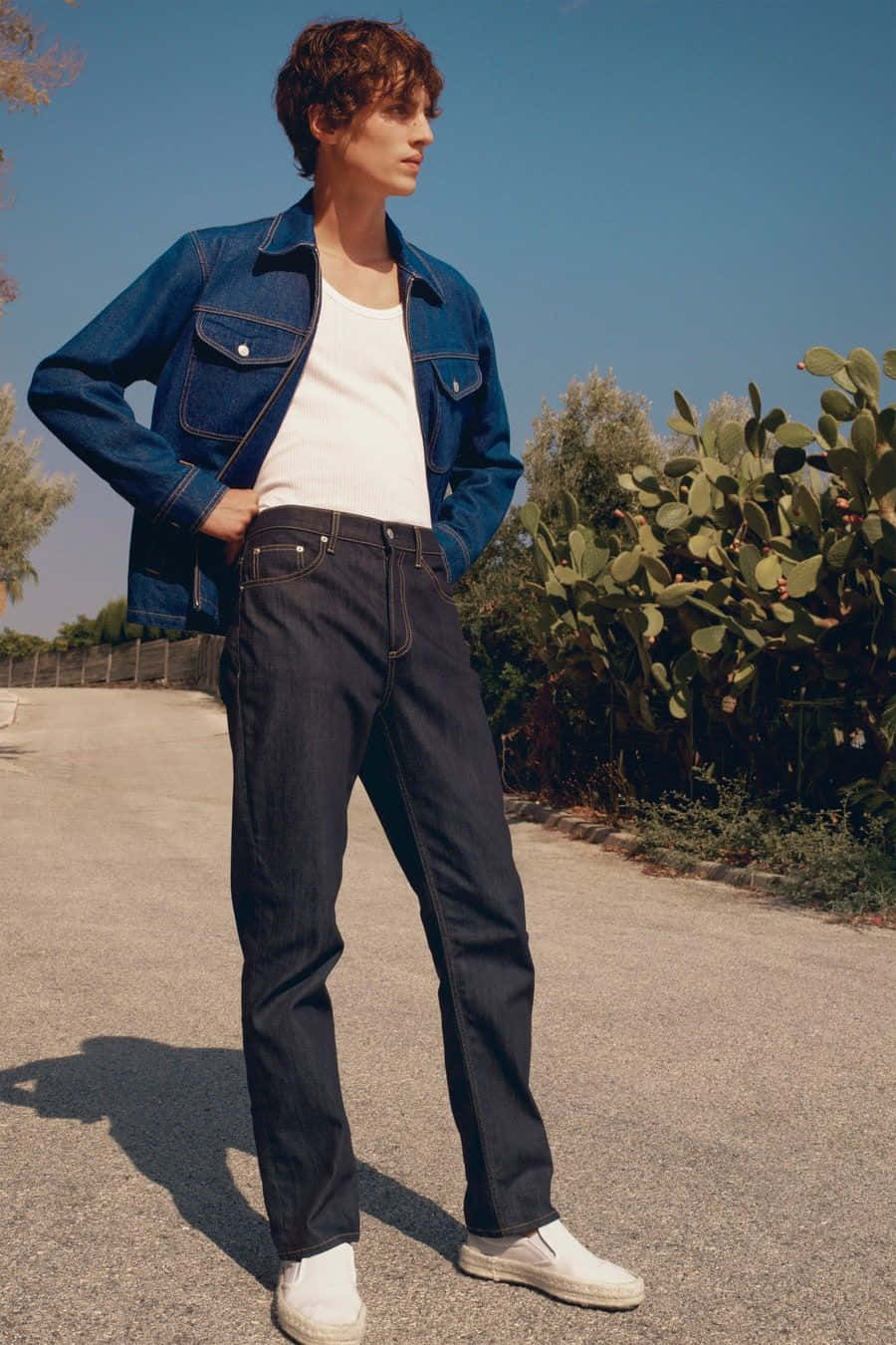 vetements 桌布 壁紙 — 一位身穿牛仔外套和牛仔褲的年輕男子自信地站在陽光明媚的道路上，旁邊是刺梨仙人掌，頭頂是清澈的藍天。