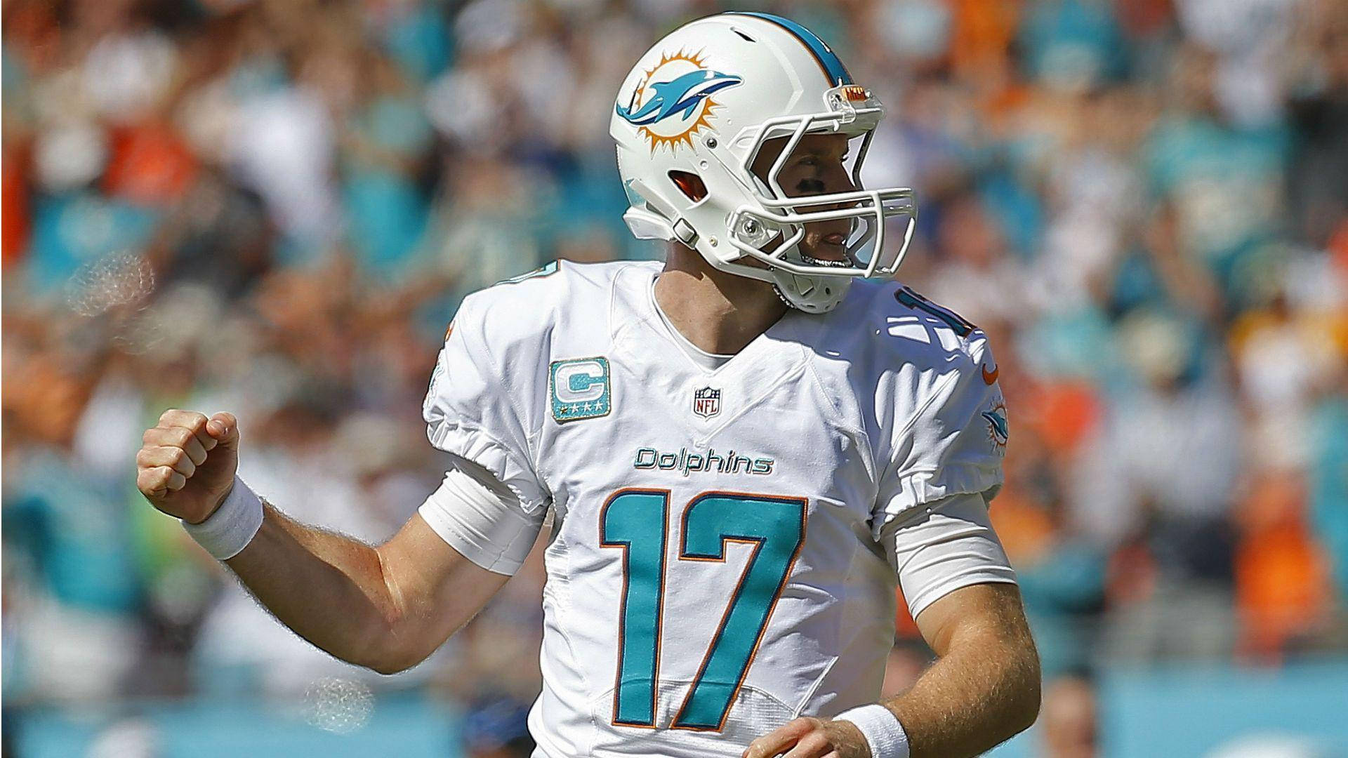邁阿密海豚隊四分衛17號在足球比賽中慶祝。 — NFL GIF 壁紙