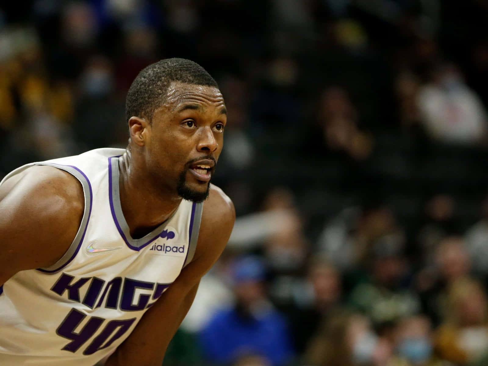 NBA 桌布 壁紙 — 一位身穿白色Kings球衣、背號40的專注籃球運動員，在明亮的場館燈光下於激烈比賽中向前傾身。