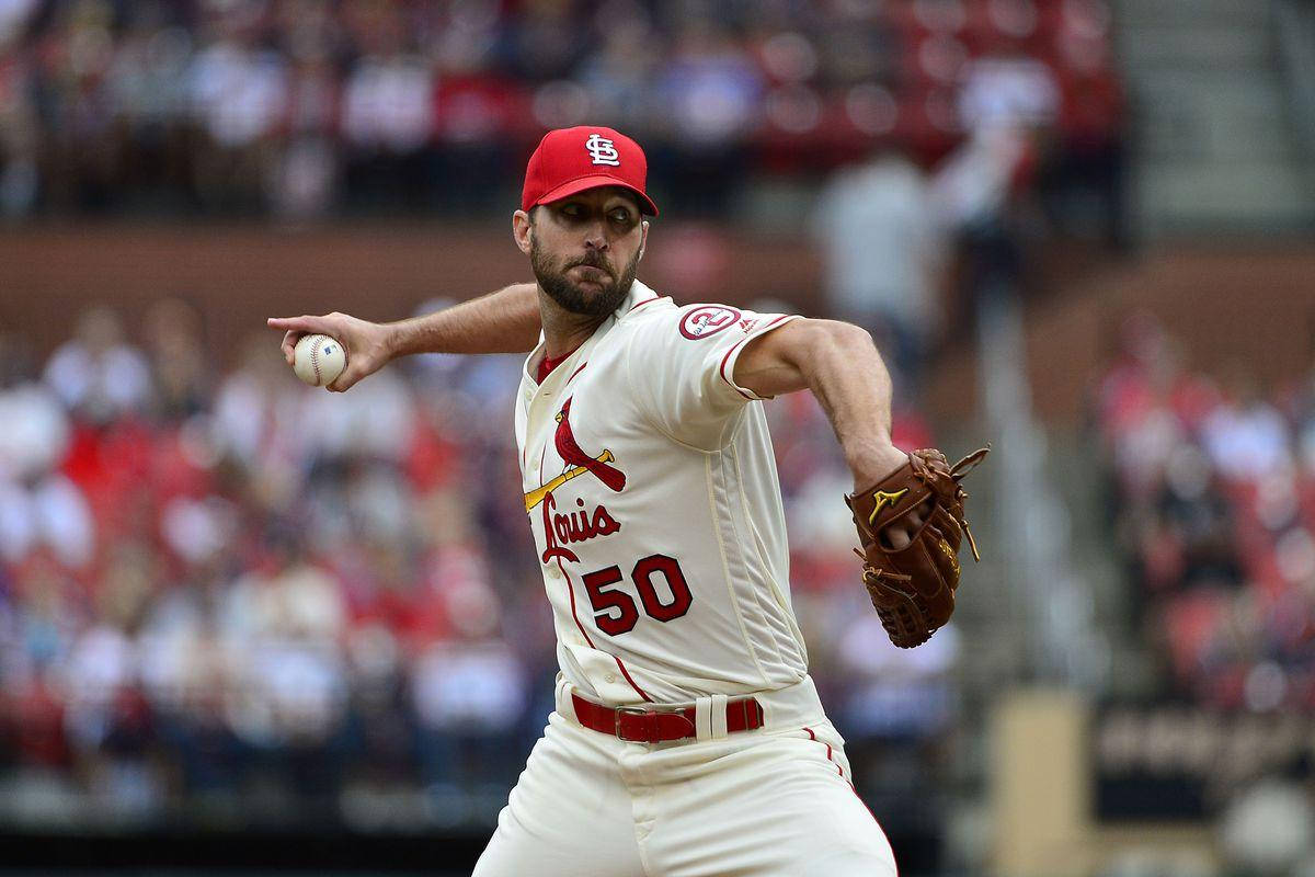 Adam Wainwright 桌布 壁紙 — 一位身穿白色和紅色球衣的棒球投手，在模糊的體育場人群背景下，專注地投球中。