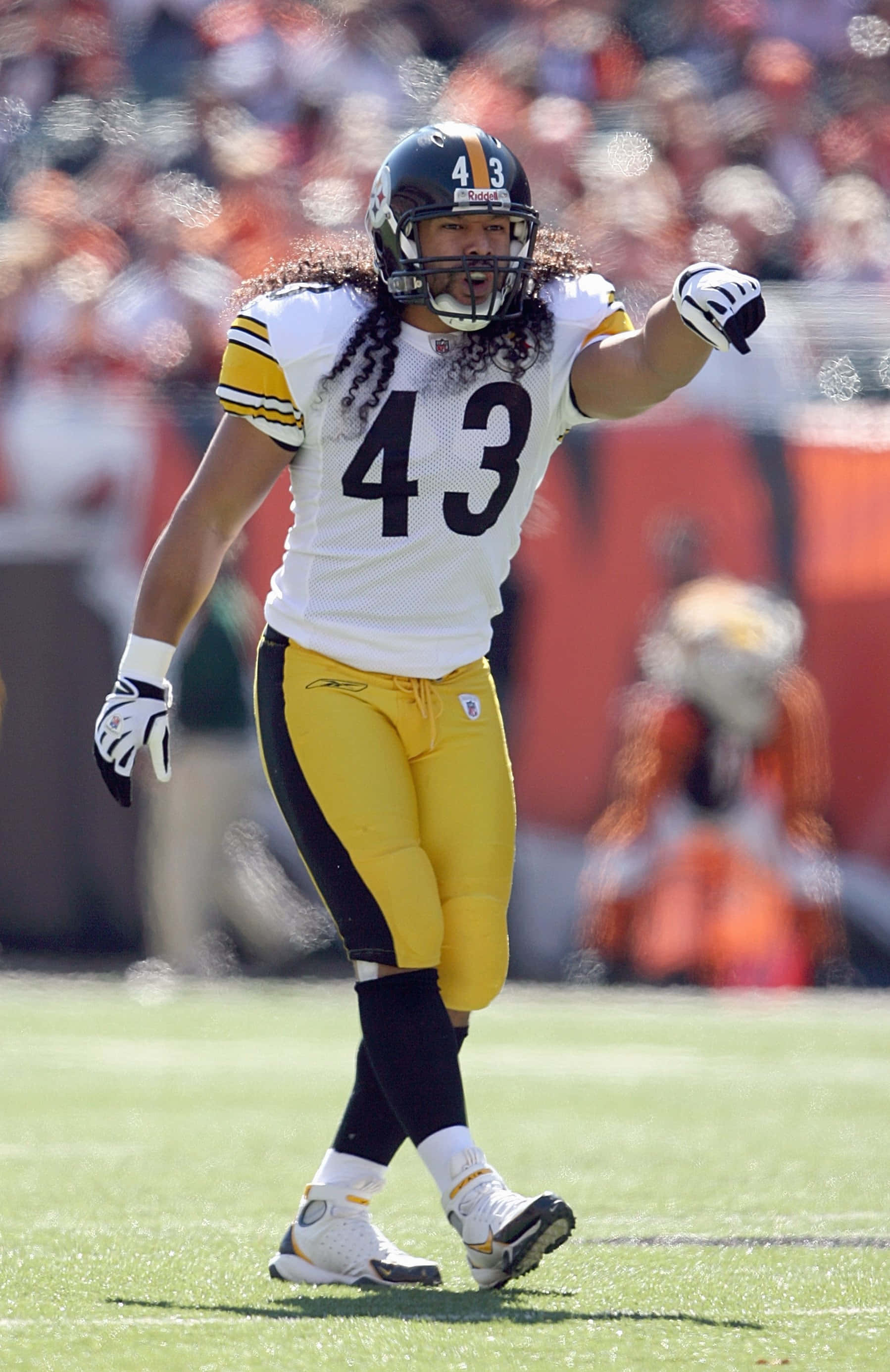 Troy Polamalu 桌布 壁紙 — 一位身穿白色和黃色球衣、號碼43的匹茲堡鋼人隊美式足球員，在陽光明媚的綠色球場上慶祝，背景是模糊的體育場觀眾。