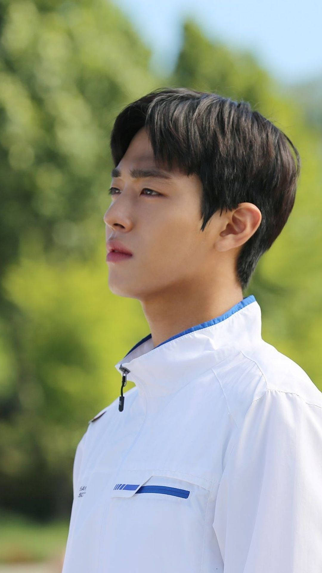 Ahn Hyo Seop 桌布 壁紙 — 一位身穿白色夾克、帶有藍色點綴的年輕男子，在鬱鬱蔥蔥的綠色背景下，若有所思地凝視遠方。