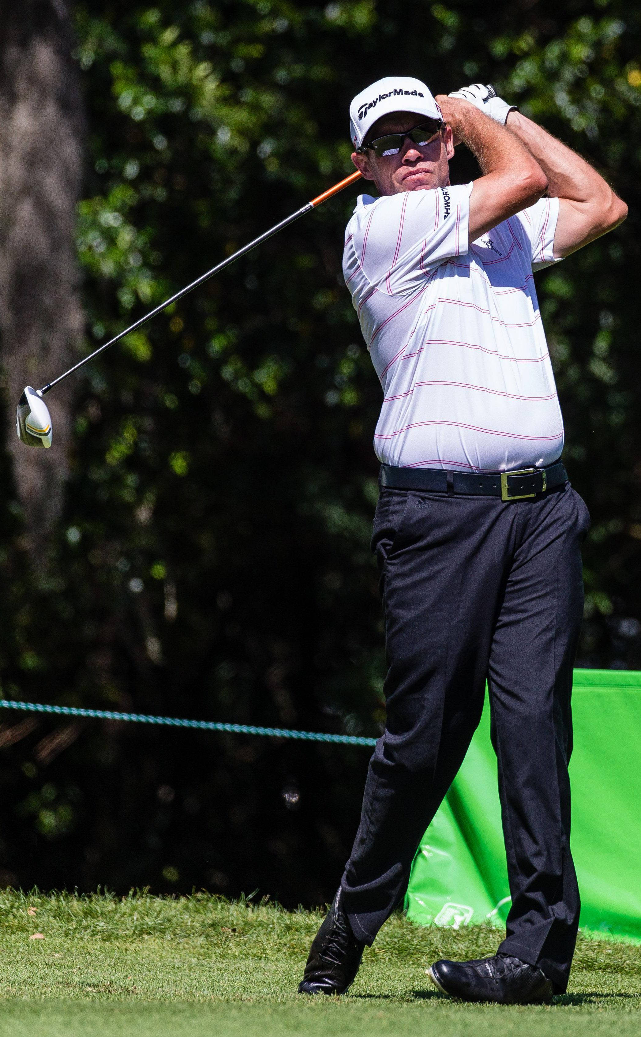 樹木 桌布 壁紙 — 一位身穿白色條紋襯衫和黑色褲子的男性高爾夫球手，在陽光明媚、綠樹成蔭的球場上，專注地揮桿。