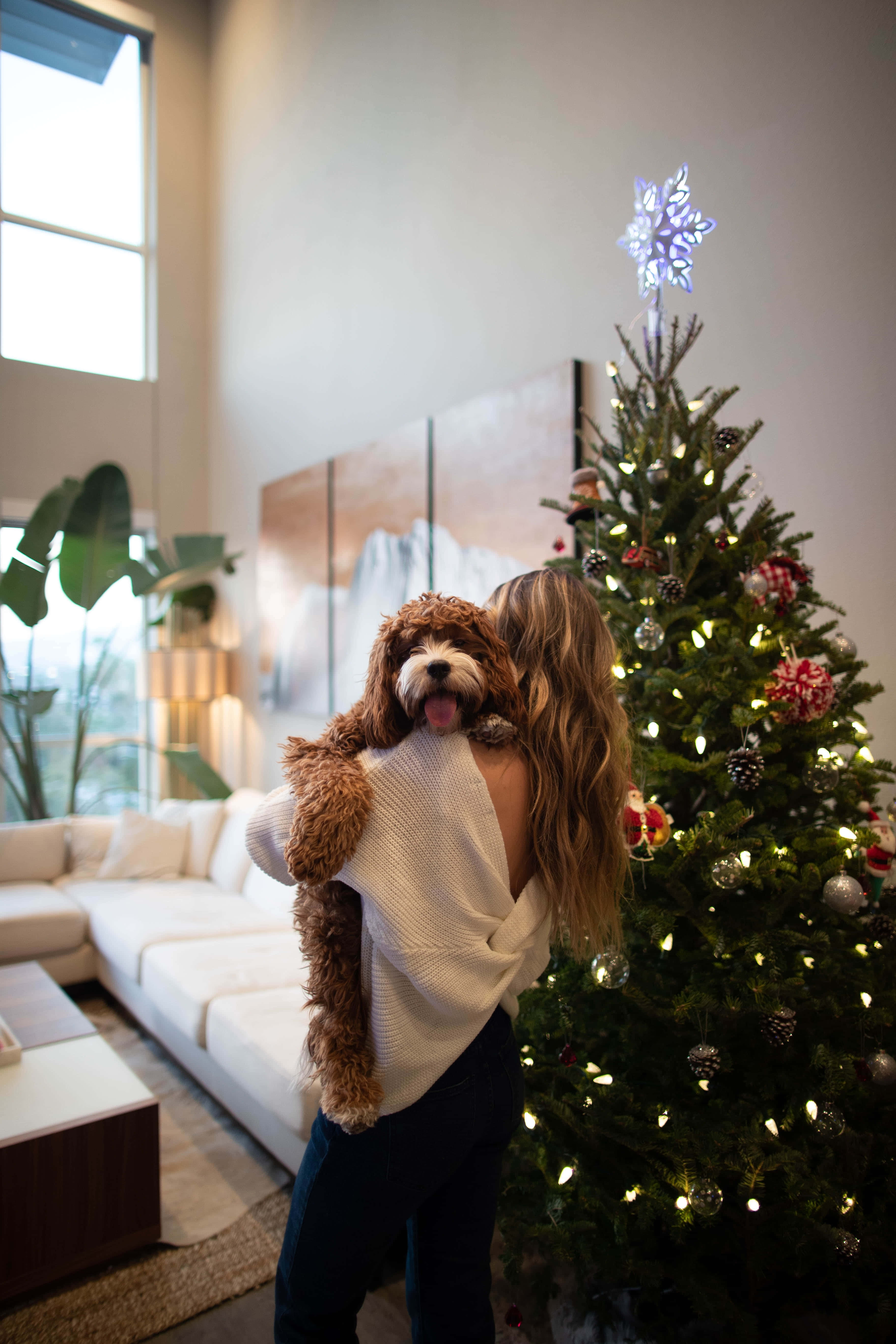 Christmas Scene 桌布 壁紙 — 一位身穿白色毛衣的女性站在裝飾好的聖誕樹旁，抱著一隻毛茸茸的棕色狗，身處明亮的現代客廳。