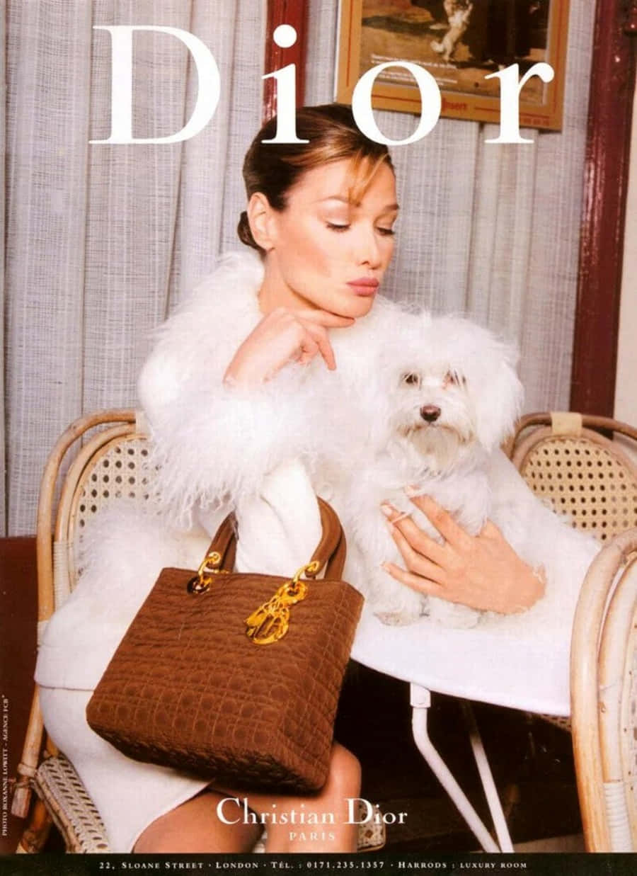Dior 動態 桌布 壁紙 — 一位身穿白色皮草大衣的女性優雅地坐著，抱著一隻小白狗，並拿著一個棕色Dior手提包擺姿勢。