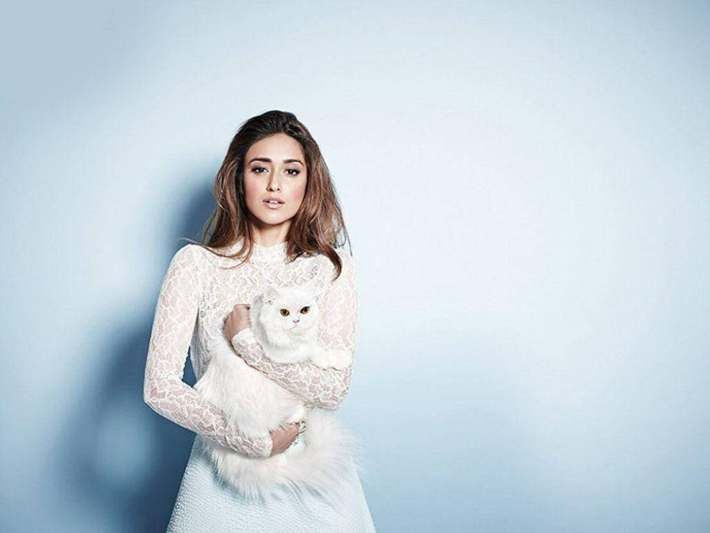 Ileana D'cruz 桌布 壁紙 — 一位身穿白色蕾絲裙的女子，在柔和的藍色攝影棚背景下抱著一隻蓬鬆的白貓。