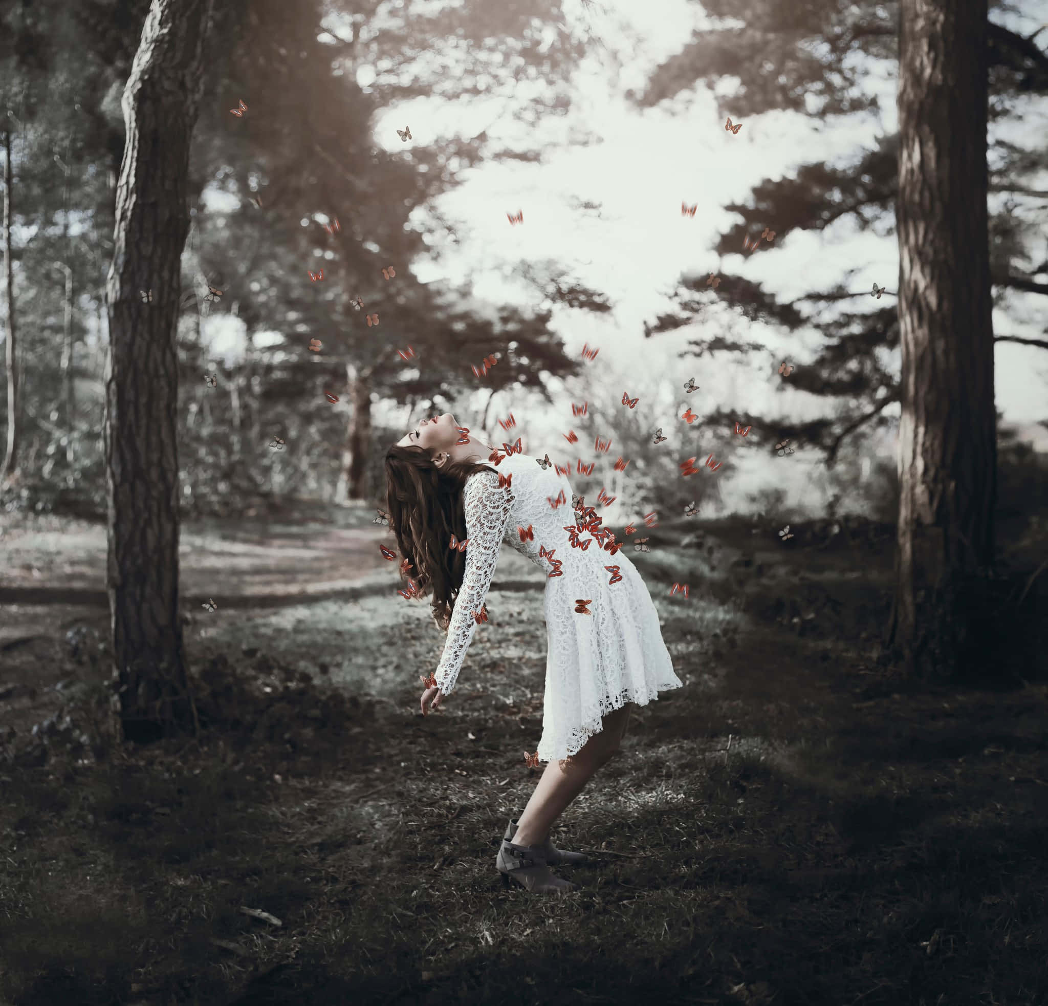 Butterfly Dress 桌布 壁紙 — 一位身穿白色蕾絲裙的女子在森林中向後彎腰，紅色蝴蝶從她身體迸發，飛向陽光普照的樹冠。