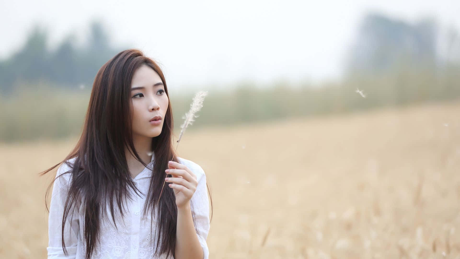 抽菸 桌布 壁紙 — 一位身穿白色襯衫的年輕女子站在金色的麥田裡，手持一根羽毛狀的草莖，蒲公英種子在她周圍飄浮。