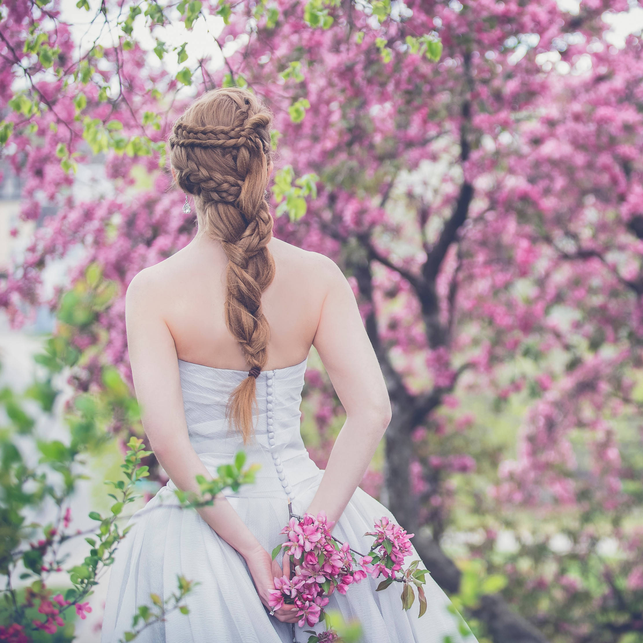 Bridal 桌布 壁紙 — 一位身穿白色連衣裙、梳著精緻辮子髮型的女士，坐在一棵盛開的粉紅色櫻花樹下，手持一束粉紅色花朵。