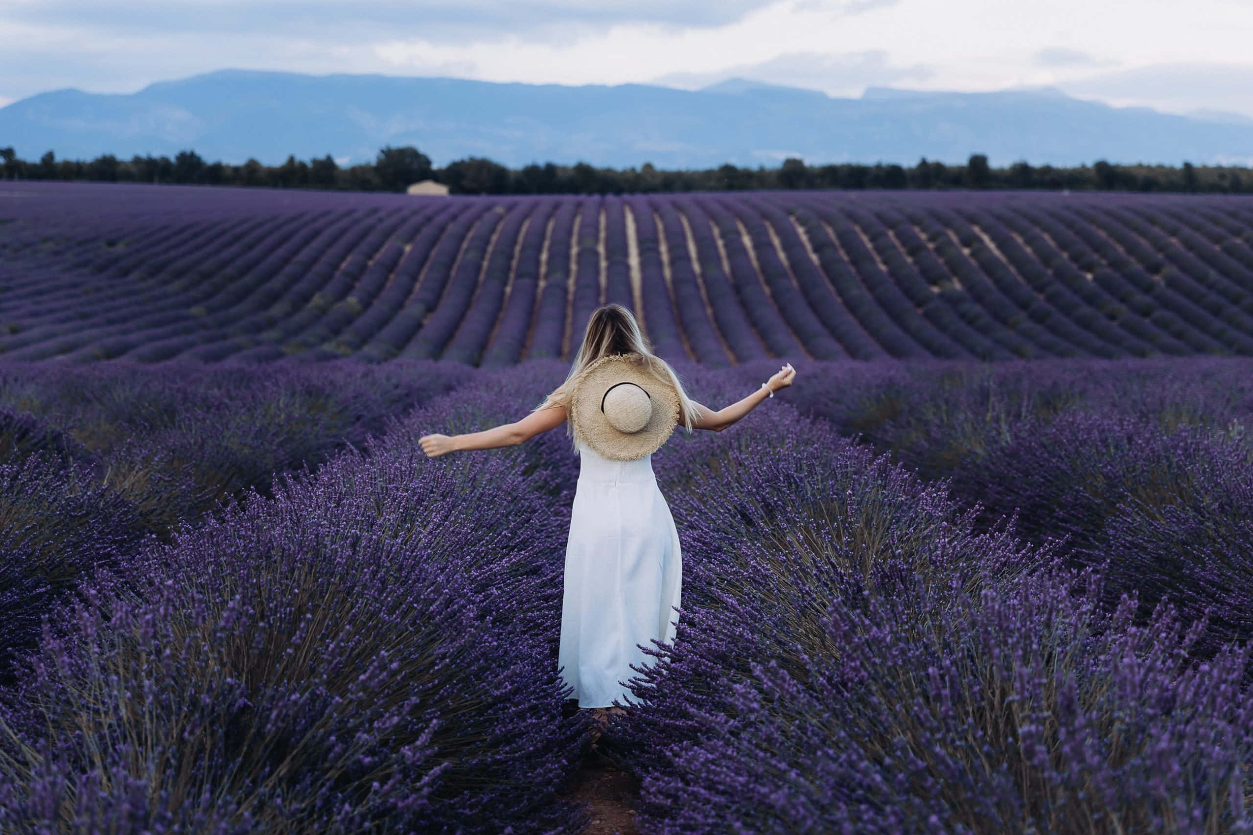Lavender Field 桌布 壁紙 — 一位身穿白色連衣裙和草帽的女性在廣闊的紫色薰衣草田中張開雙臂站立，遠處有山脈。