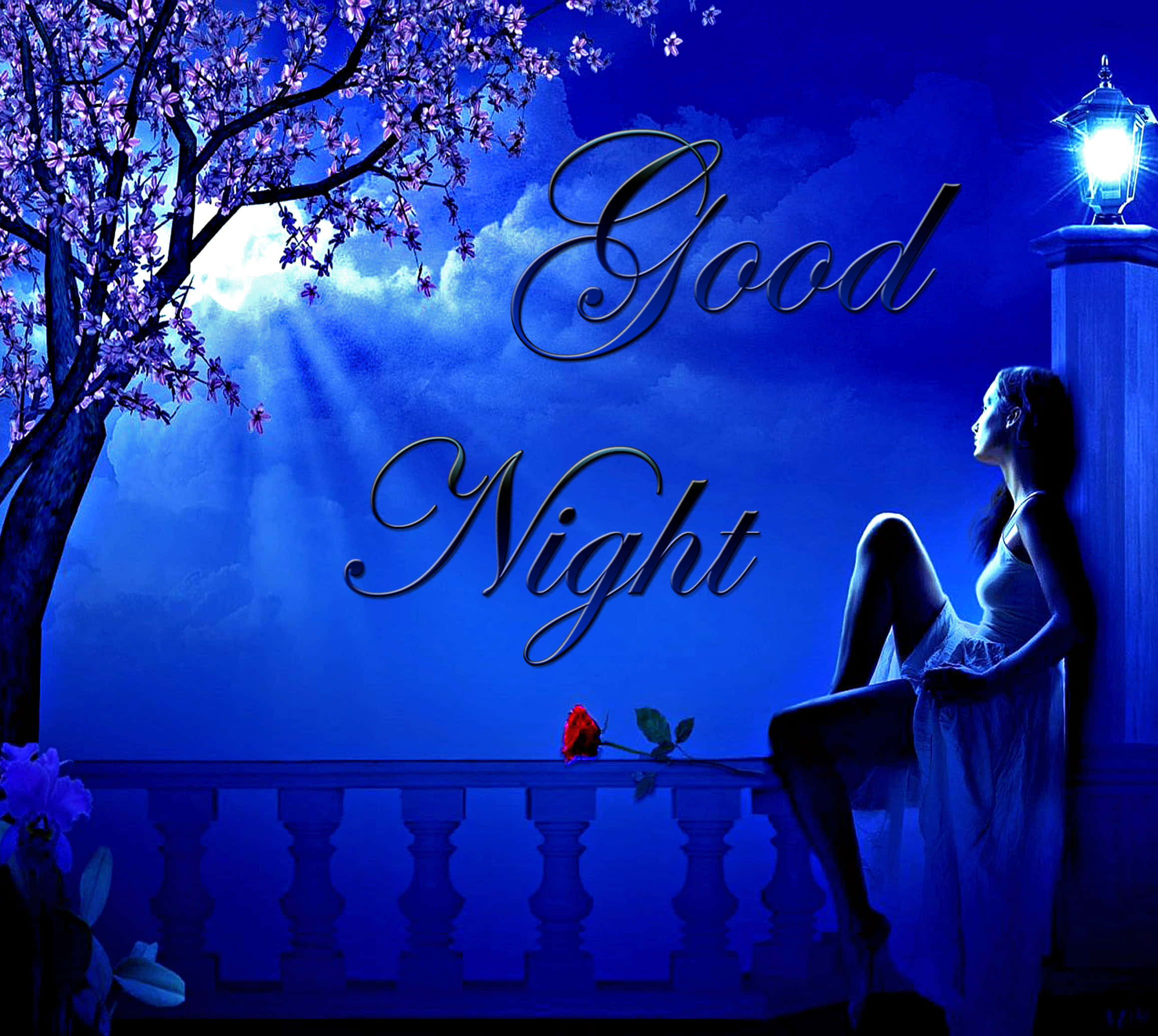 good night animated 桌布 壁紙 — 一位身穿白色連衣裙的女性坐在陽台上，月光下盛開的櫻花和發光的燈籠。