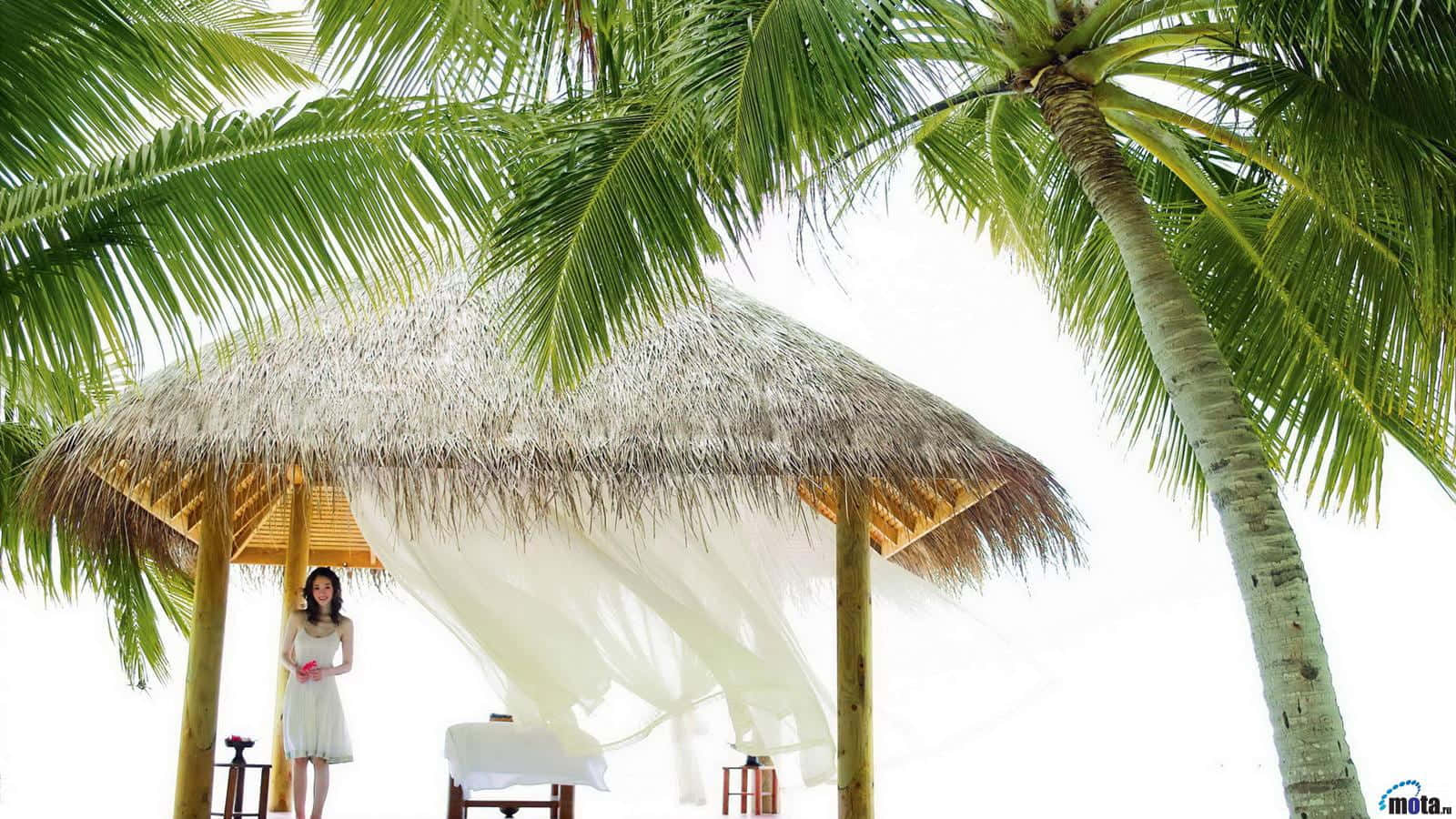 Beach Daybed 桌布 壁紙 — 一位身穿白色連衣裙的女性站在茅草涼亭下，周圍是茂密的棕櫚葉，背景是明亮的白色天空。