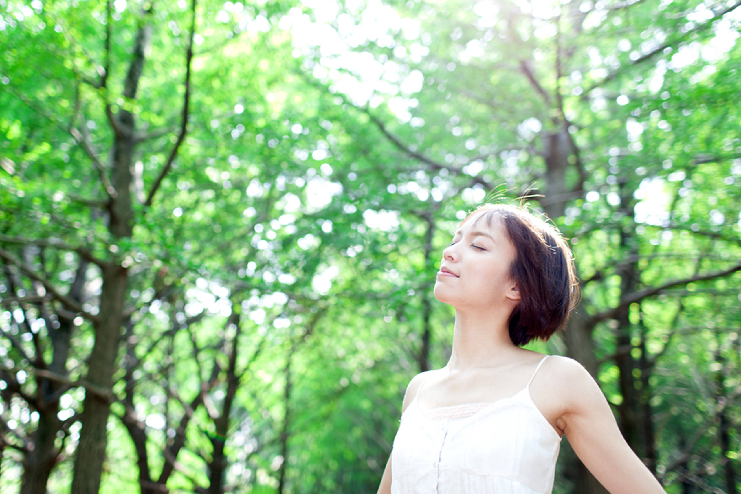 Breathing 桌布 壁紙 — 一位身穿白色連衣裙的寧靜女性閉上眼睛，呼吸著透過茂密綠樹過濾的陽光。