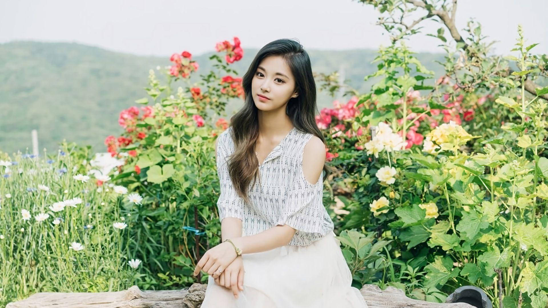 子瑜 桌布 壁紙 — 一位身穿白色連衣裙的年輕女子優雅地坐在鮮豔的紅黃玫瑰叢中，背景是鬱鬱蔥蔥的綠色山丘。