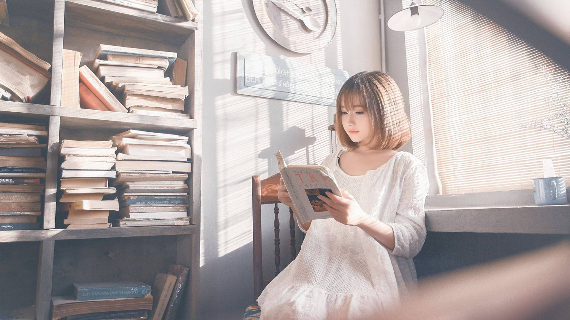看書 桌布 壁紙 — 一位身穿白色連衣裙的年輕女子在陽光照射的窗邊閱讀一本書，旁邊是一個裝滿書的高大書架。