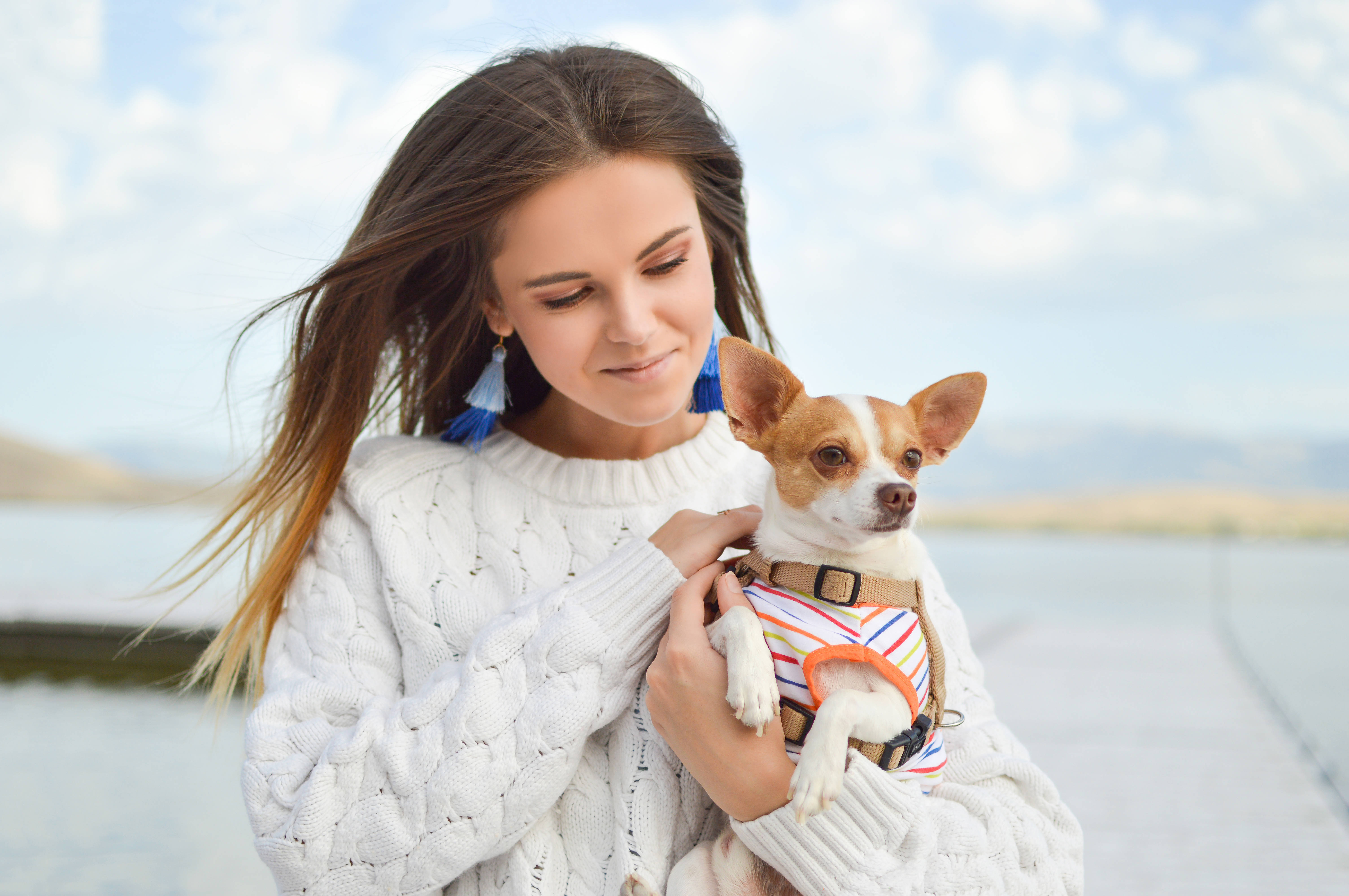 Chihuahua 桌布 壁紙 — 一位身穿白色針織毛衣的女性在海濱碼頭附近溫柔地抱著一隻穿著條紋胸背帶的小吉娃娃。