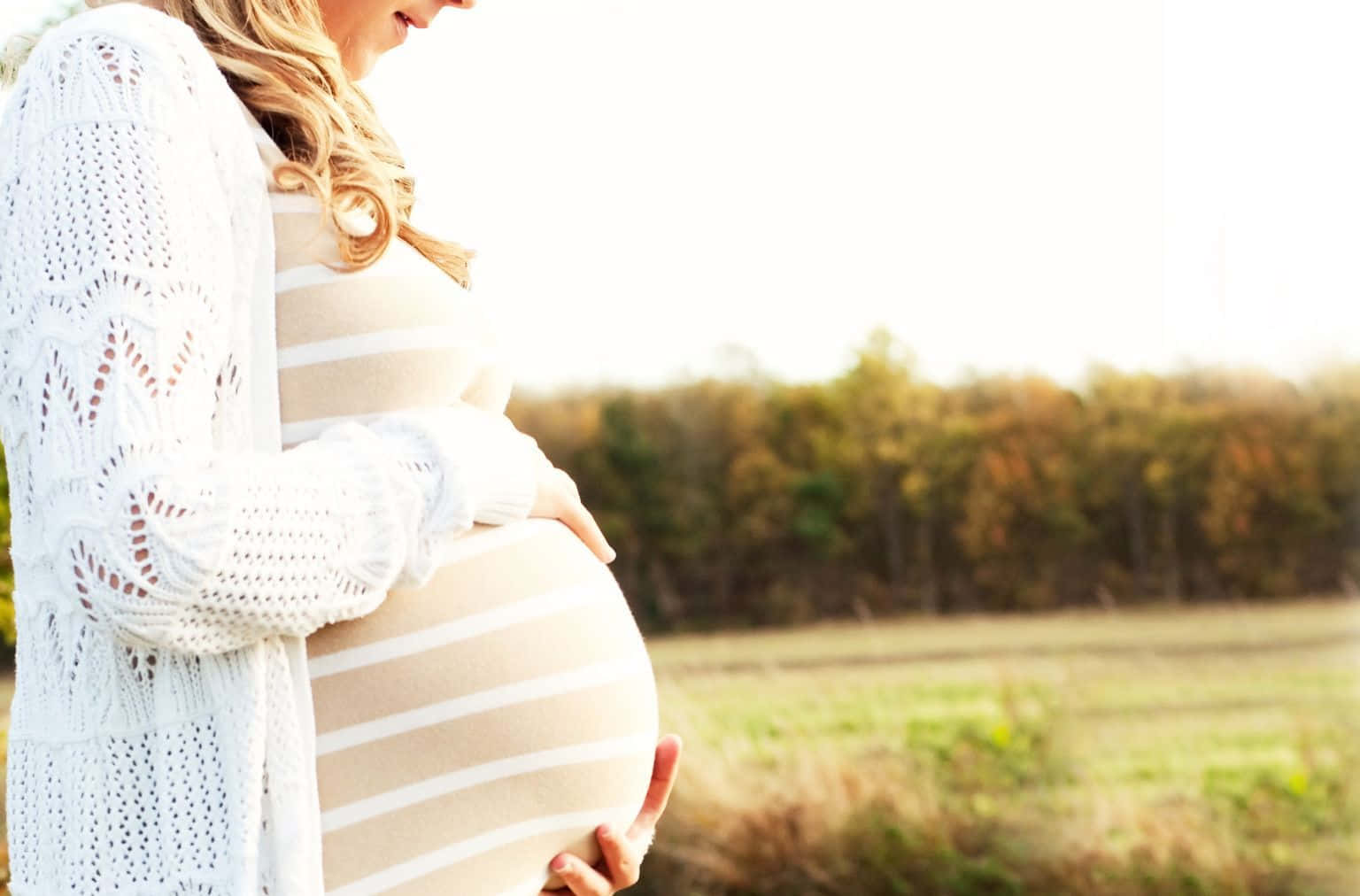 pregnancy 桌布 壁紙 — 一位身穿白色針織開襟衫的孕婦，在金色時光中輕柔地捧著肚子，背景是柔和的秋日田野。