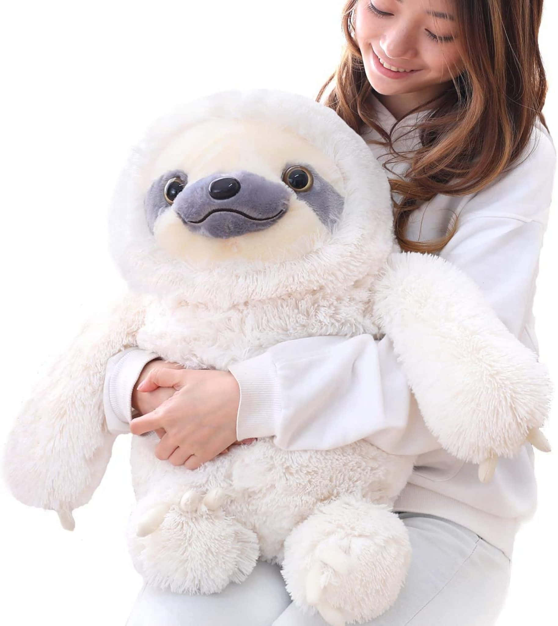 Cuddly 桌布 壁紙 — 一位身穿白衣的微笑女士在明亮的白色背景前抱著一個大型毛絨白色樹懶玩偶。
