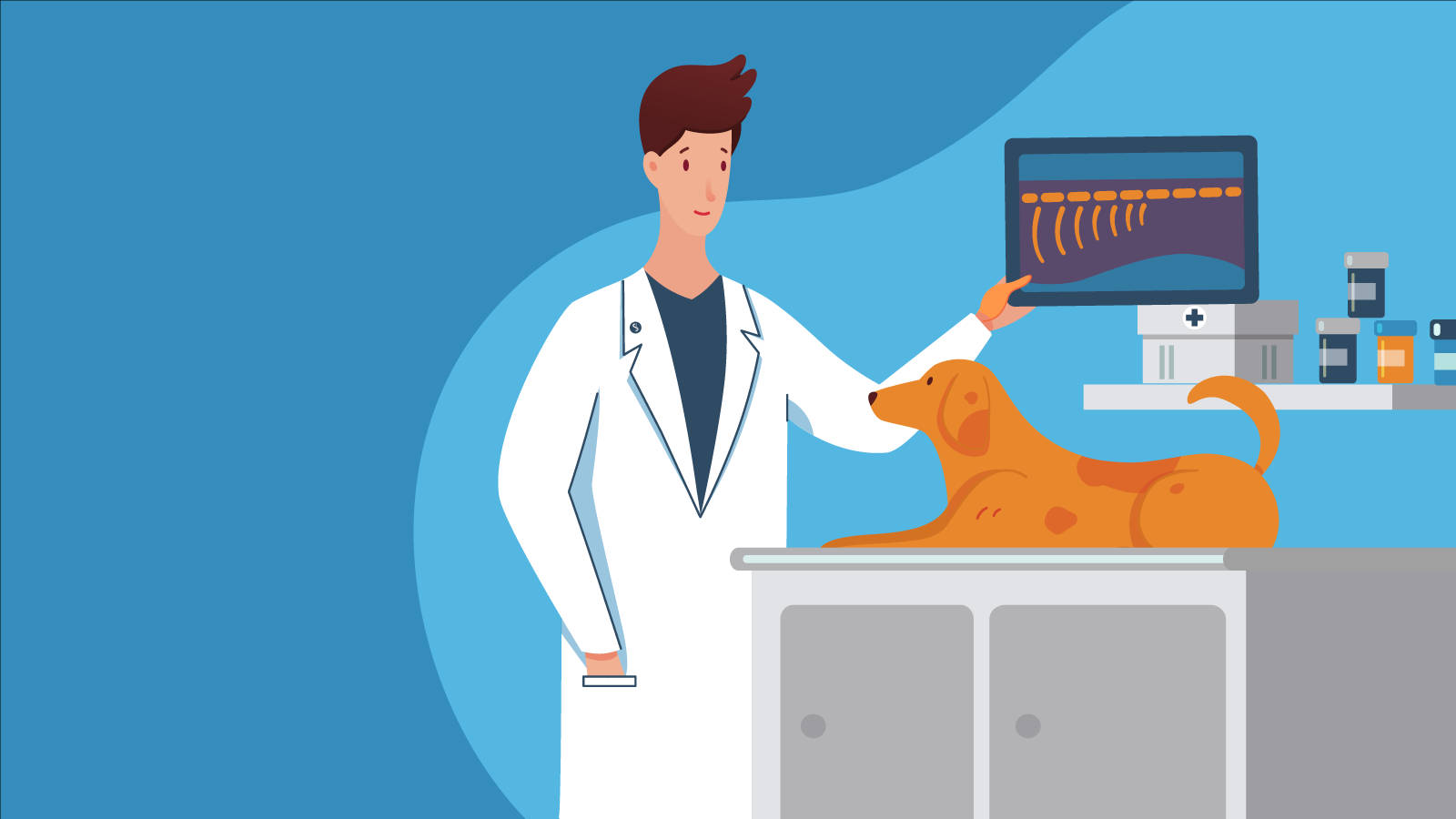 Golden Retriever 桌布 壁紙 — 一位身穿白袍的獸醫正在檢查一隻臘腸犬躺在藍色診所檢查台上的X光片。
