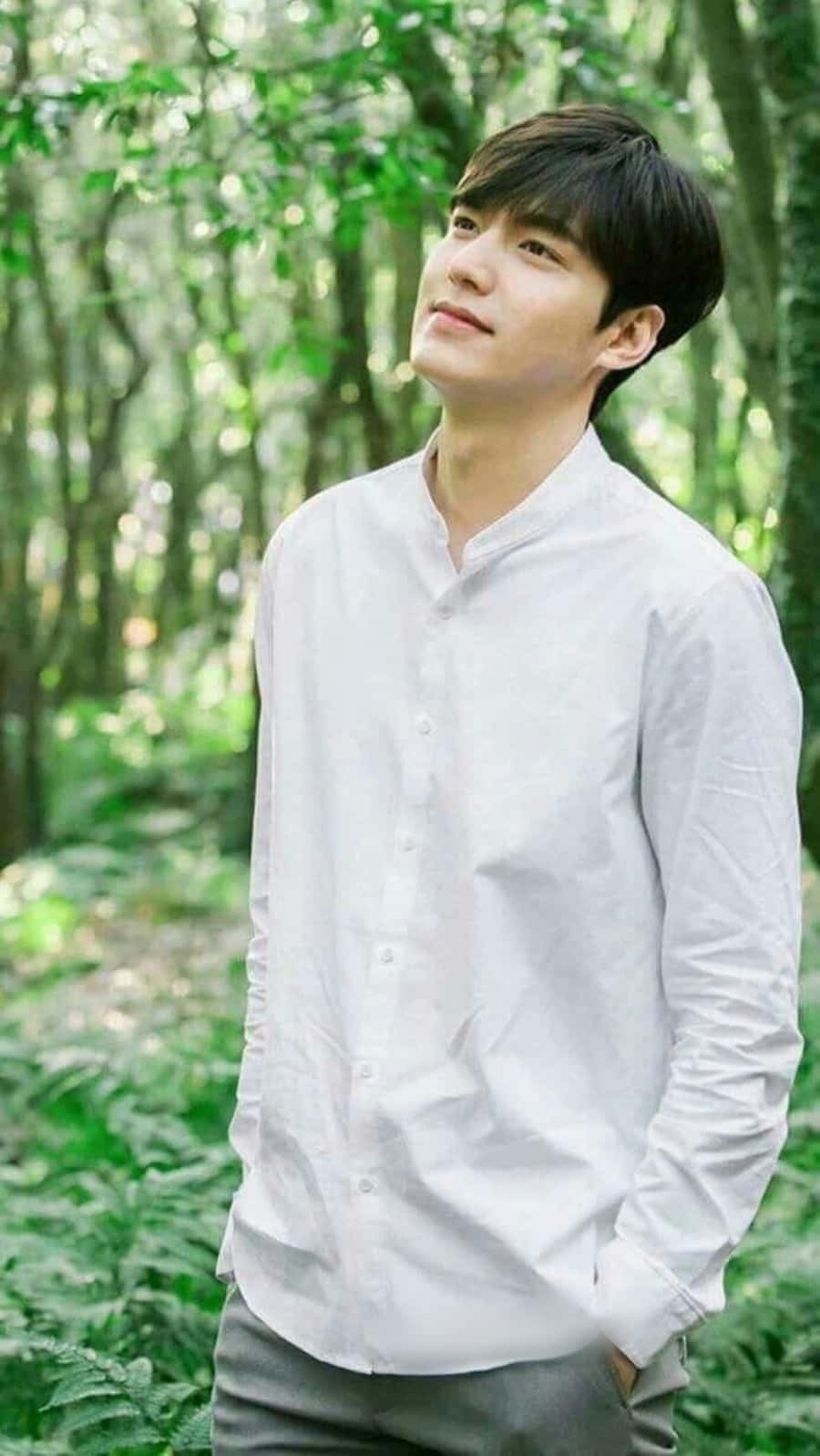 Lee Min Ho 桌布 壁紙 — 一位身穿白襯衫的年輕男子，在陽光斑駁的森林中平靜地站立，四周環繞著茂密的綠葉。