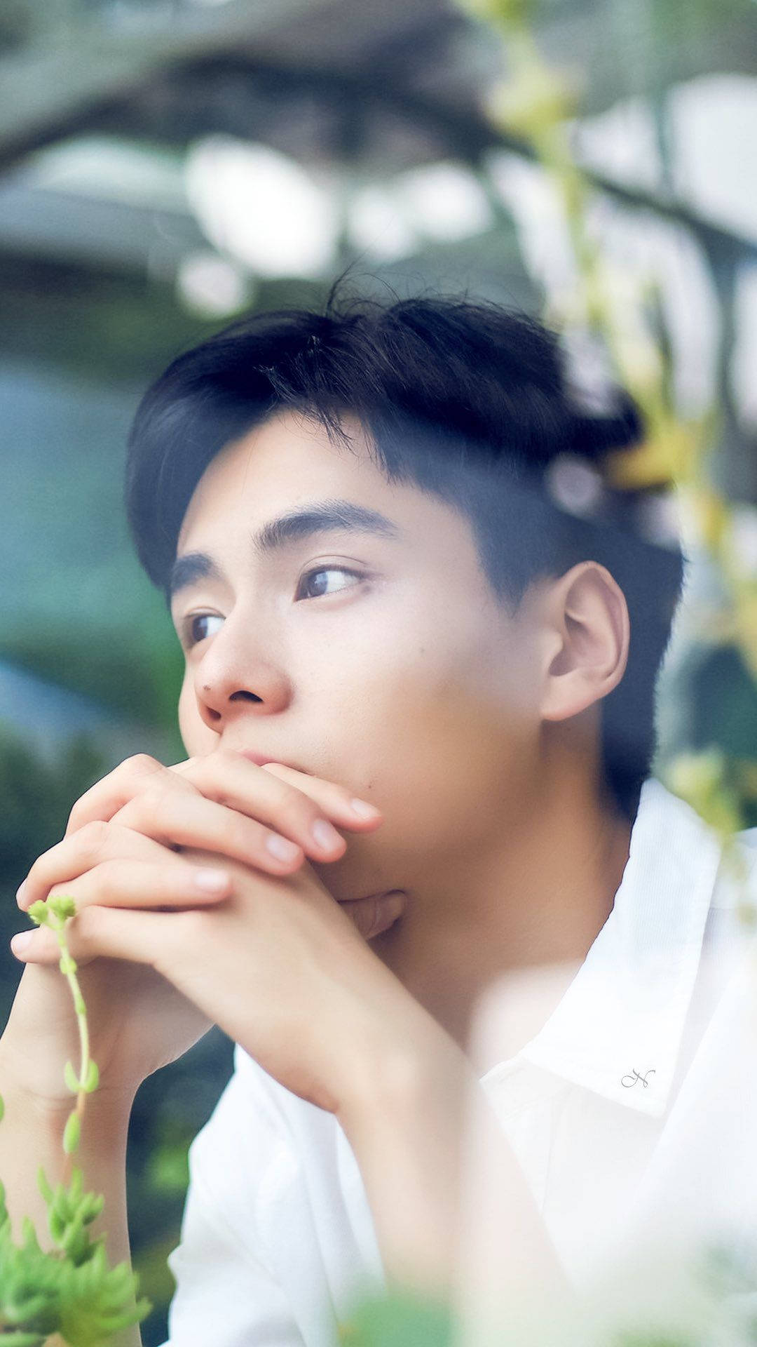 演員 桌布 壁紙 — 一位身穿白襯衫的年輕男子在柔和的綠色樹葉中雙手合十靠近嘴唇，若有所思地向上凝視。