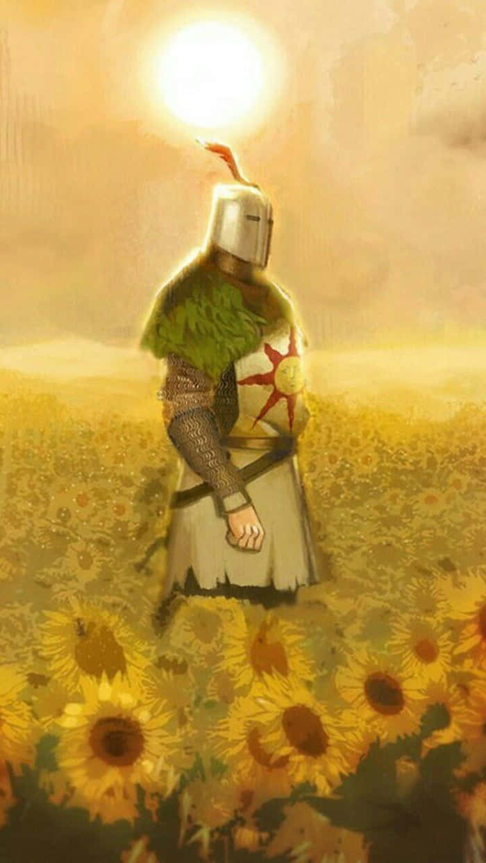 Solaire Of Astora 桌布 壁紙 — 一位身穿盔甲的騎士站在金色的向日葵田中央，上方有燦爛的太陽。