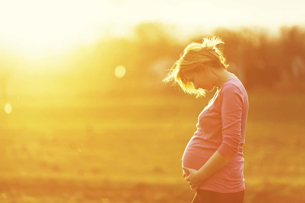 pregnancy 桌布 壁紙 — 一位身穿粉紅色襯衫的孕婦輕輕地抱著她的肚子，金色的陽光在溫暖的戶外田野中沐浴著她。