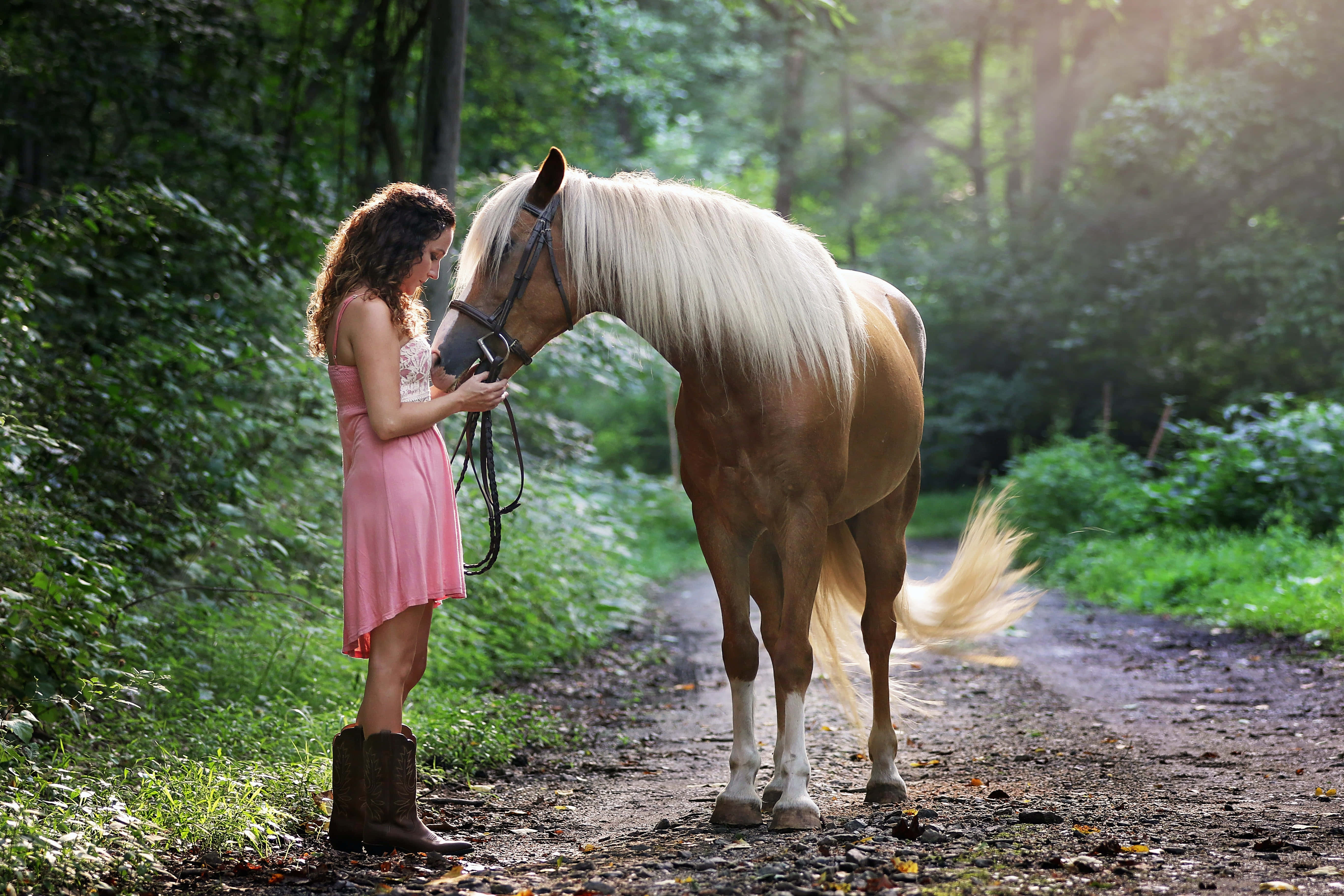 Beautiful Horses 桌布 壁紙 — 一位身穿粉紅色連衣裙的年輕女子在陽光明媚的森林小徑上輕輕撫摸一匹帕洛米諾馬。