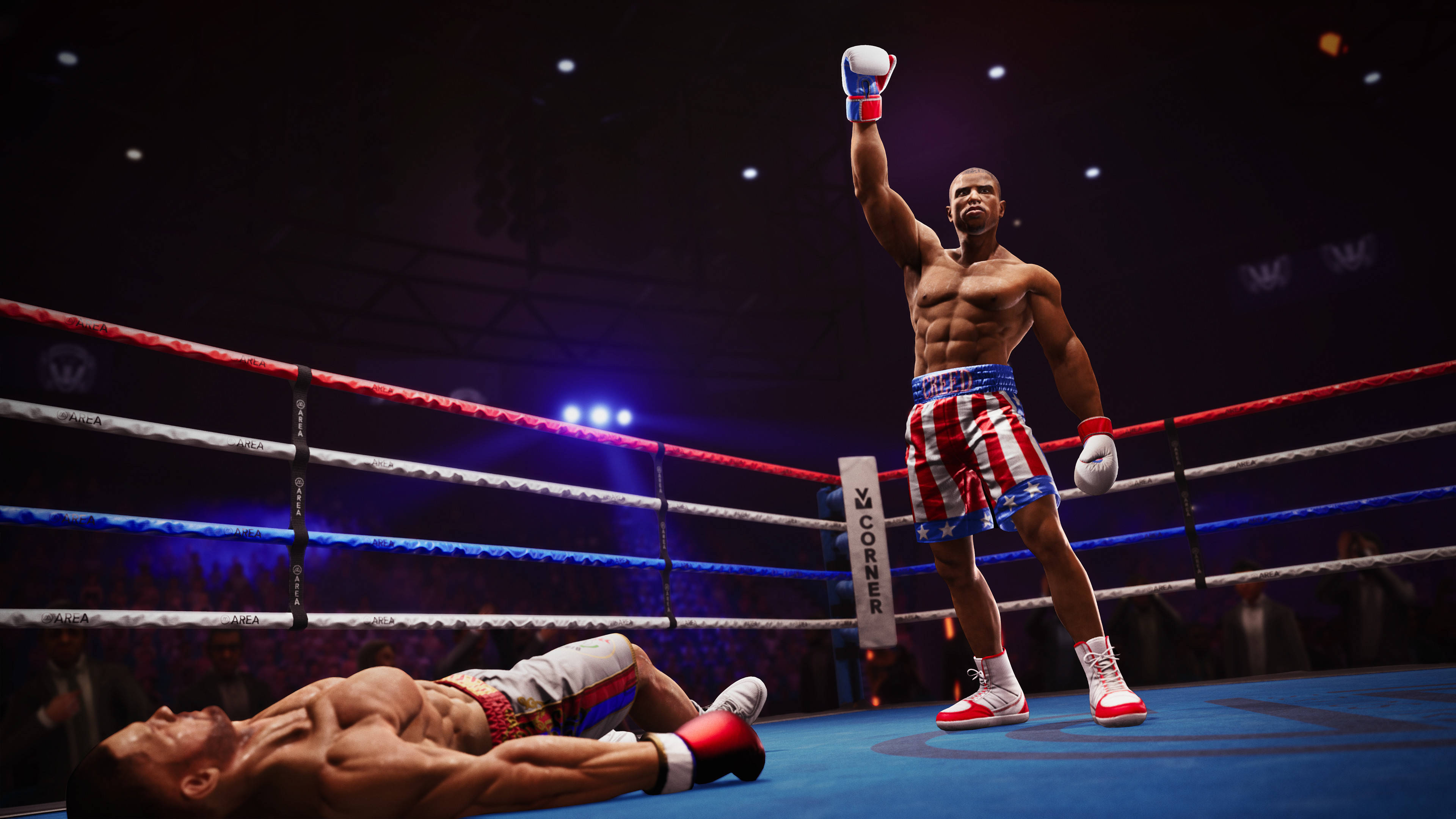 Boxing 桌布 壁紙 — 一位身穿紅、白、藍三色短褲的勝利拳擊手，在燈光明亮的擂台上，向倒下的對手高舉戴著手套的拳頭慶祝勝利。