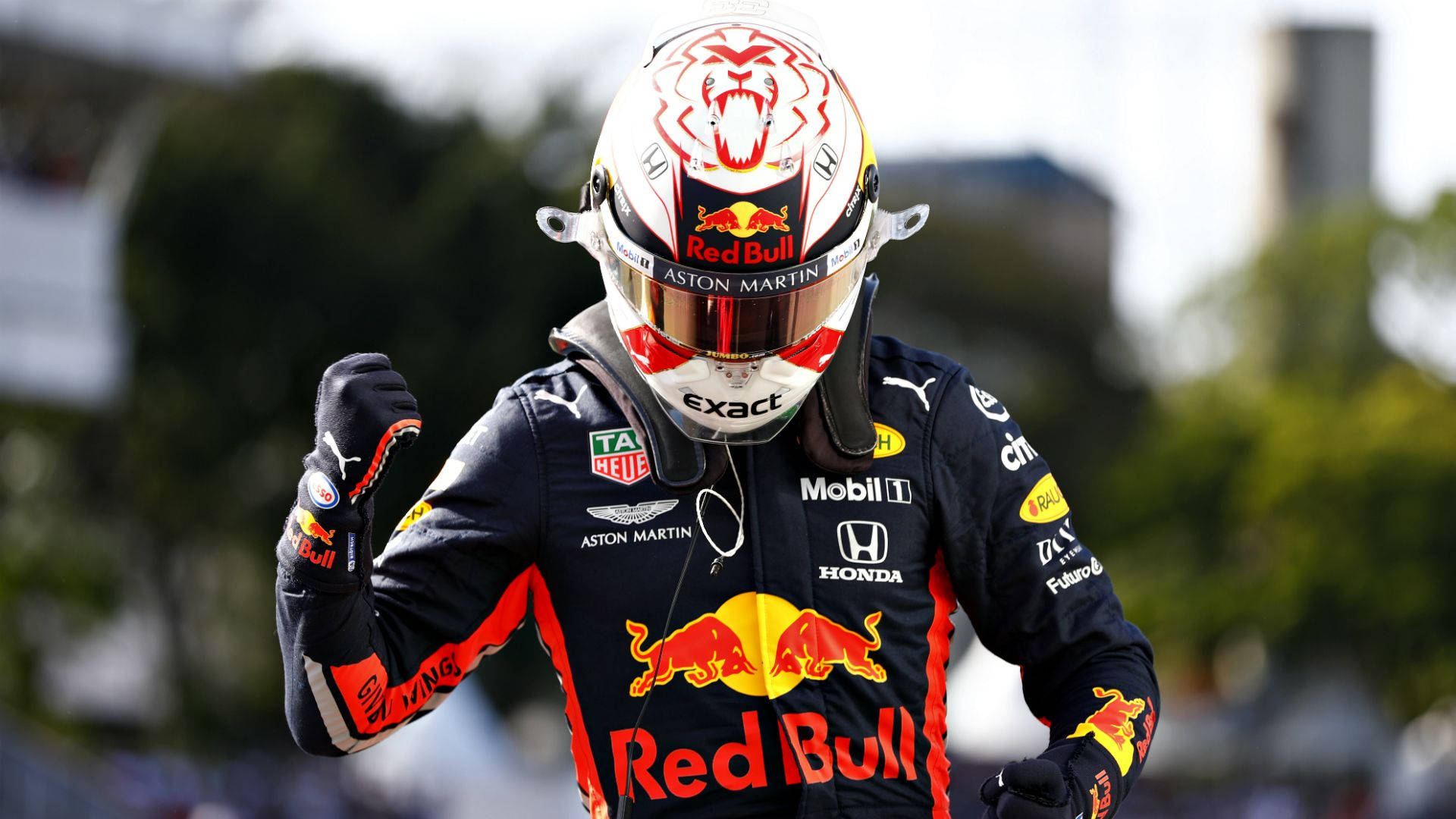 F1車手以紅牛賽車裝備慶祝勝利。 — 紅牛F1 壁紙