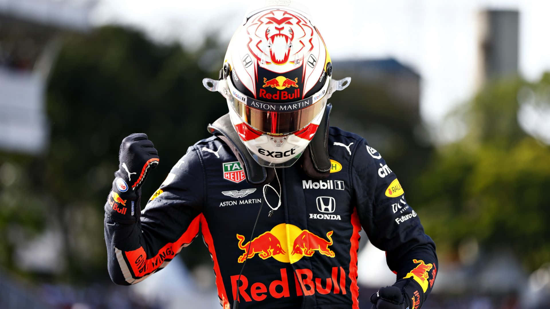 Max Verstappen 桌布 壁紙 — 一位身穿紅牛賽車服和頭盔的一級方程式賽車手，在模糊的綠色背景前握緊拳頭慶祝。